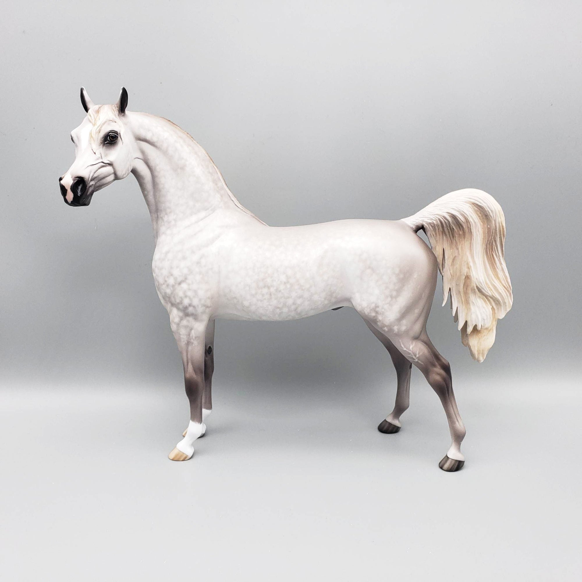 Stand Back - OOAK Dove Grey Dappled Arabian By Sheryl Leisure Offer 6/5/23