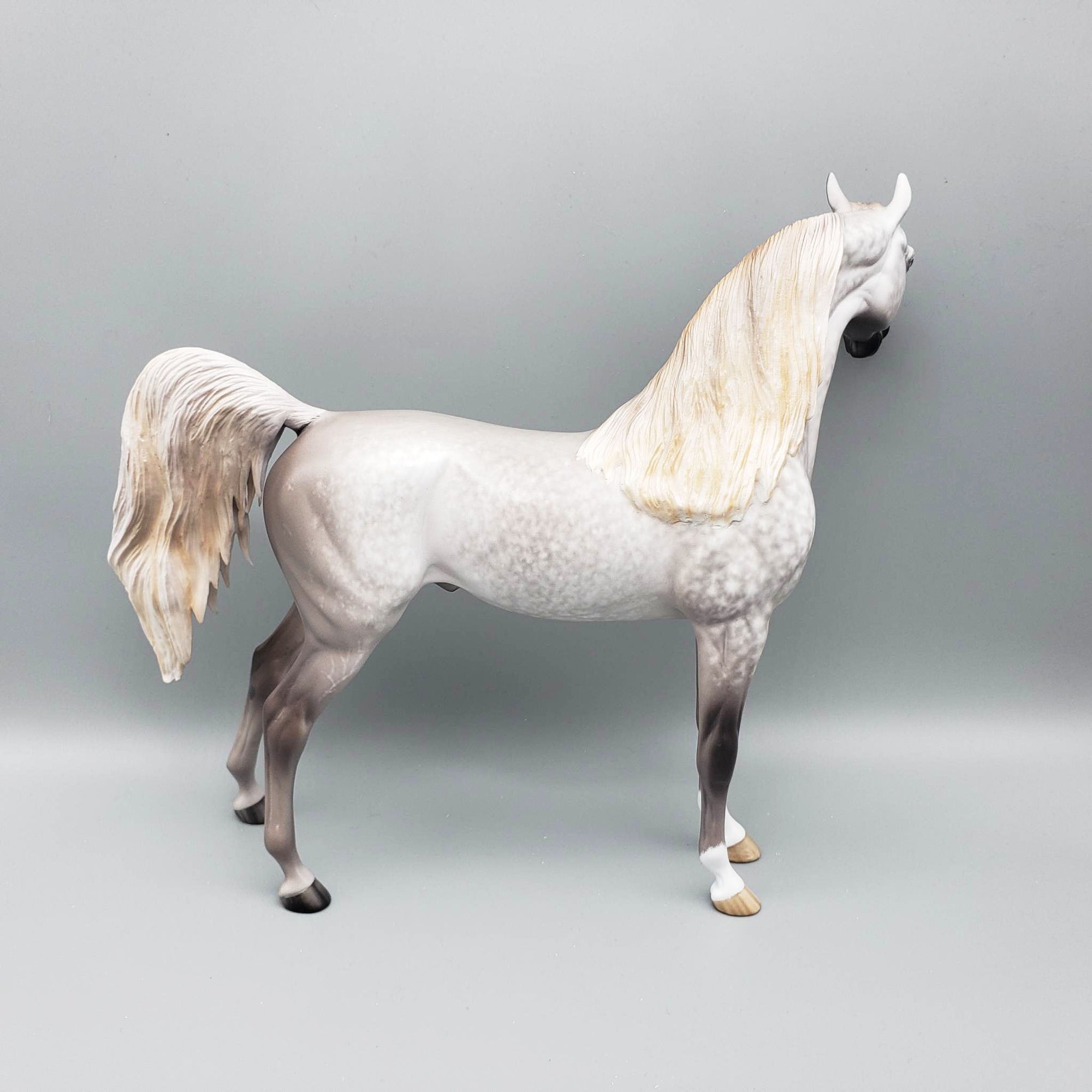 Stand Back - OOAK Dove Grey Dappled Arabian By Sheryl Leisure Offer 6/5/23
