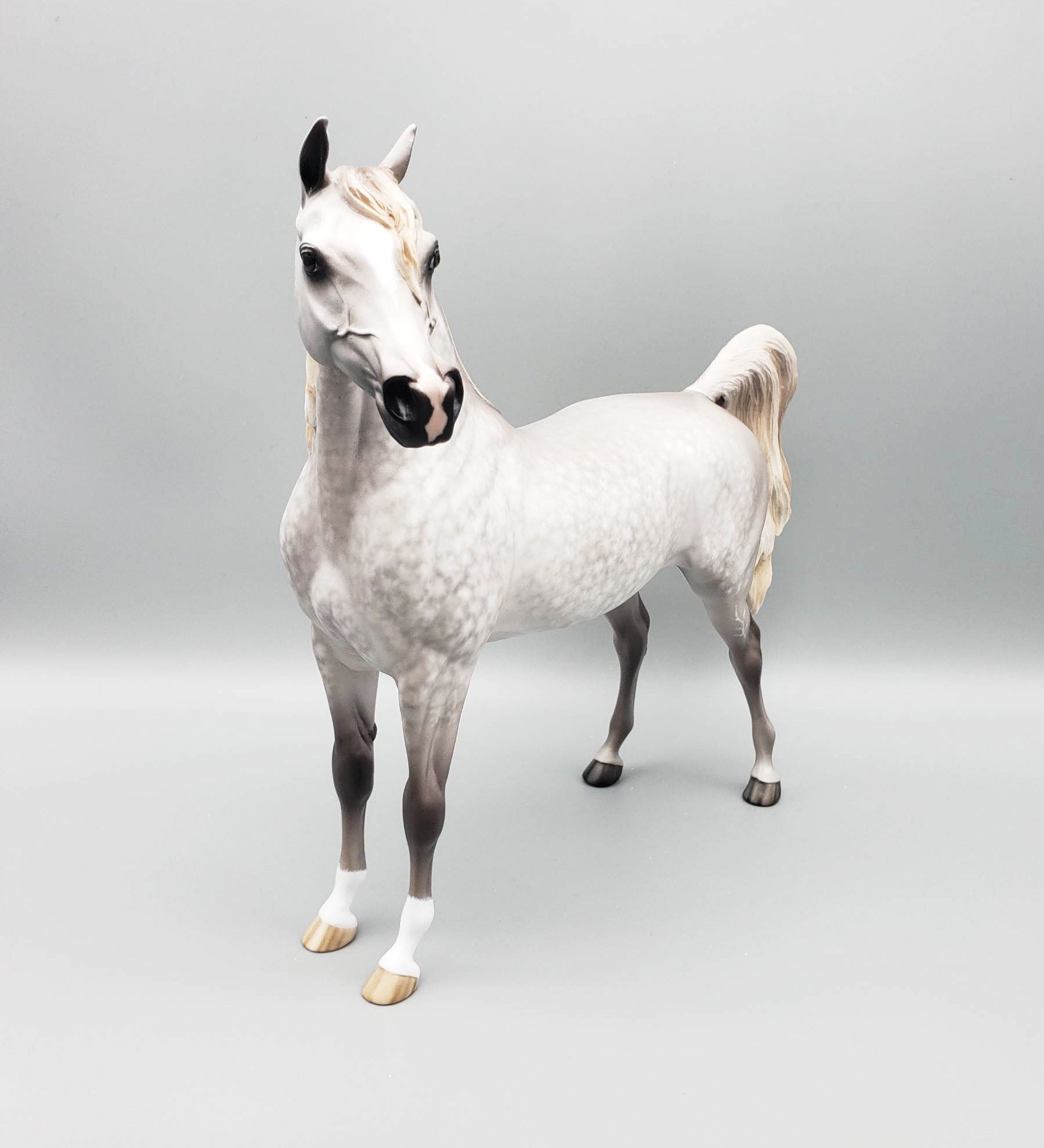 Stand Back - OOAK Dove Grey Dappled Arabian By Sheryl Leisure Offer 6/5/23