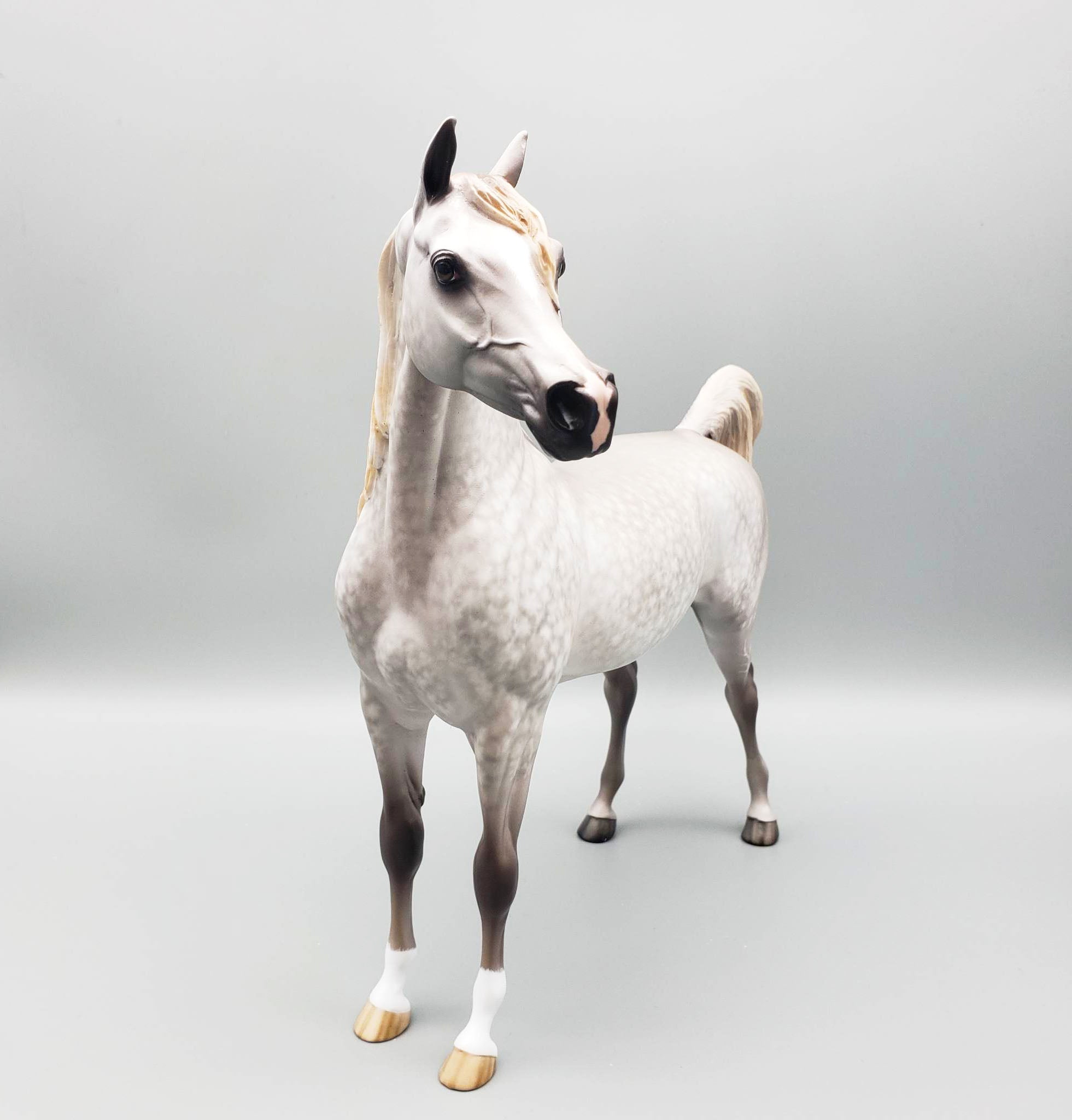Stand Back - OOAK Dove Grey Dappled Arabian By Sheryl Leisure Offer 6/5/23