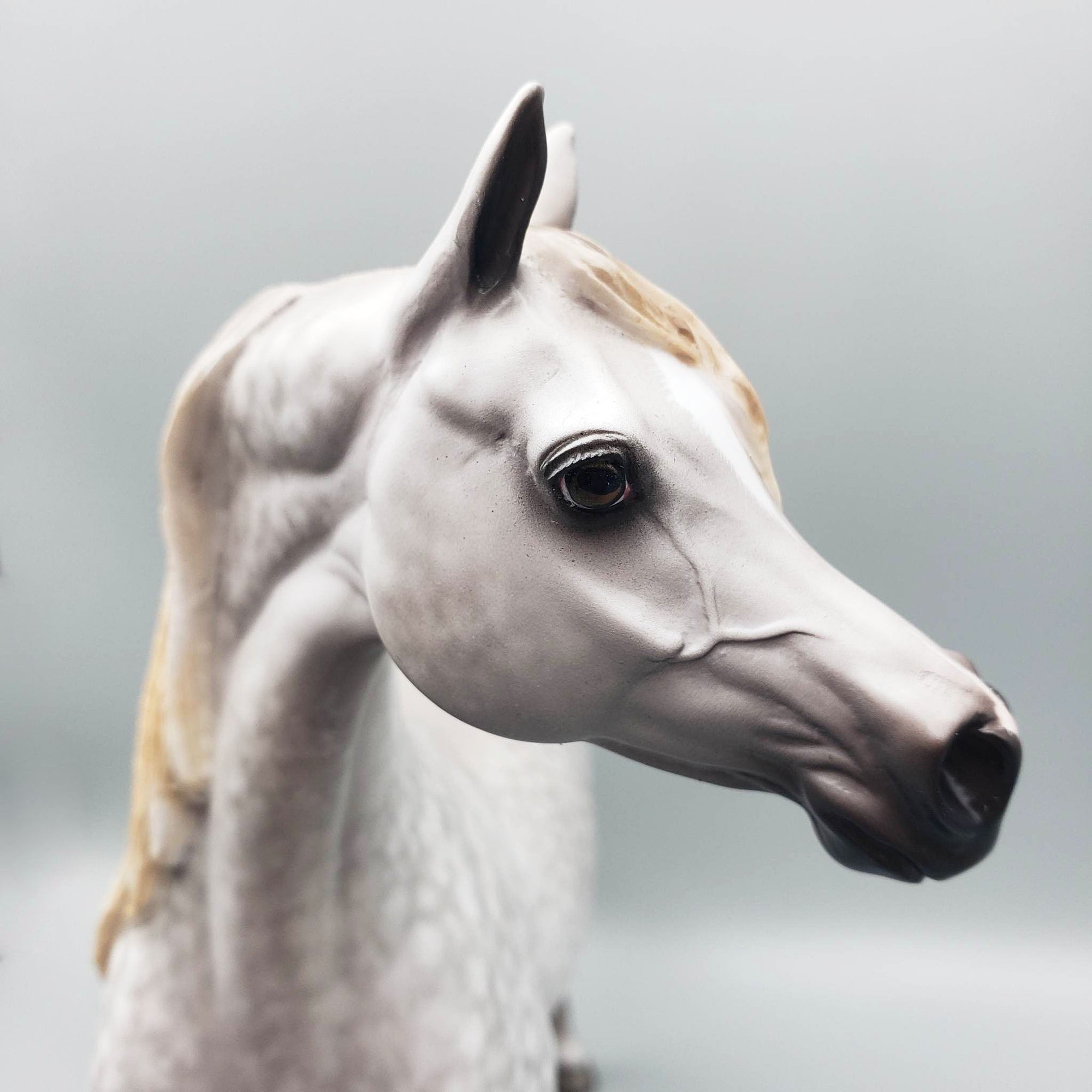 Stand Back - OOAK Dove Grey Dappled Arabian By Sheryl Leisure Offer 6/5/23