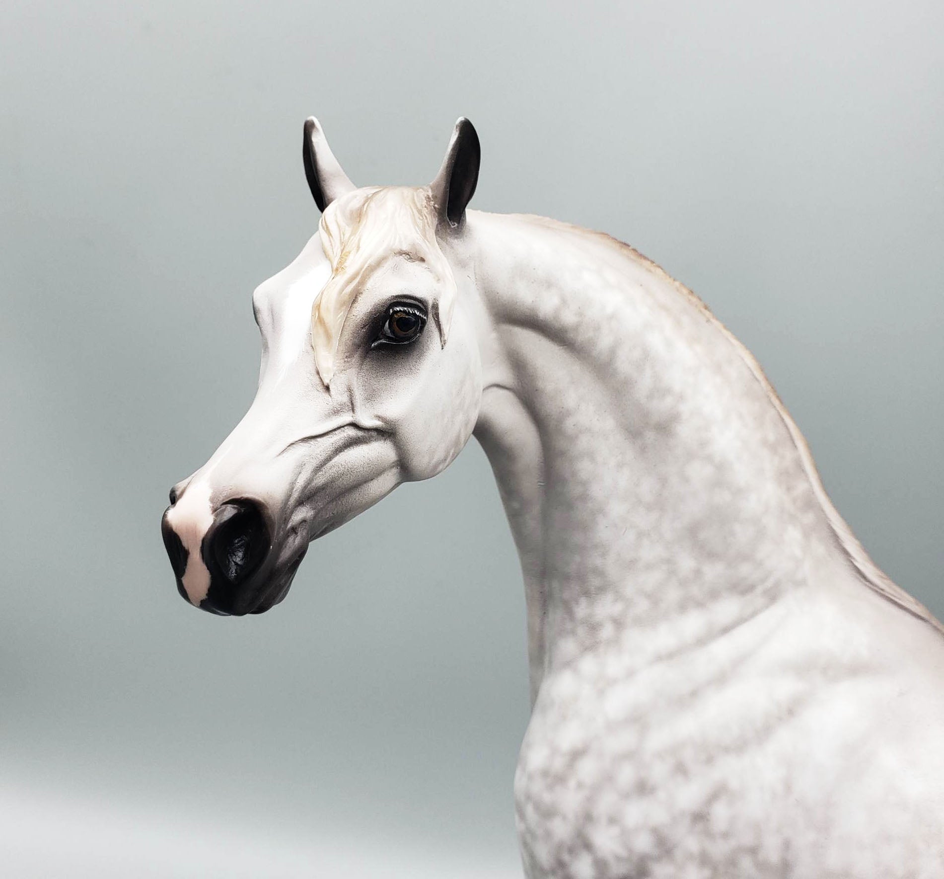 Stand Back - OOAK Dove Grey Dappled Arabian By Sheryl Leisure Offer 6/5/23