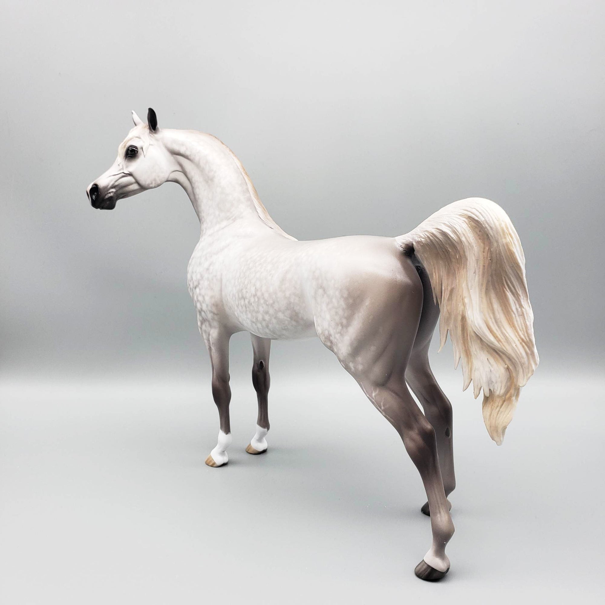 Stand Back - OOAK Dove Grey Dappled Arabian By Sheryl Leisure Offer 6/5/23