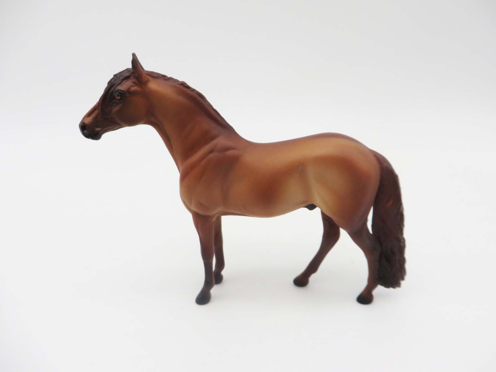 Stand For What Matters - OOAK - Andalusian Chip By Donna Fredley - SHCF23