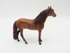 Stand For What Matters - OOAK - Andalusian Chip By Donna Fredley - SHCF23