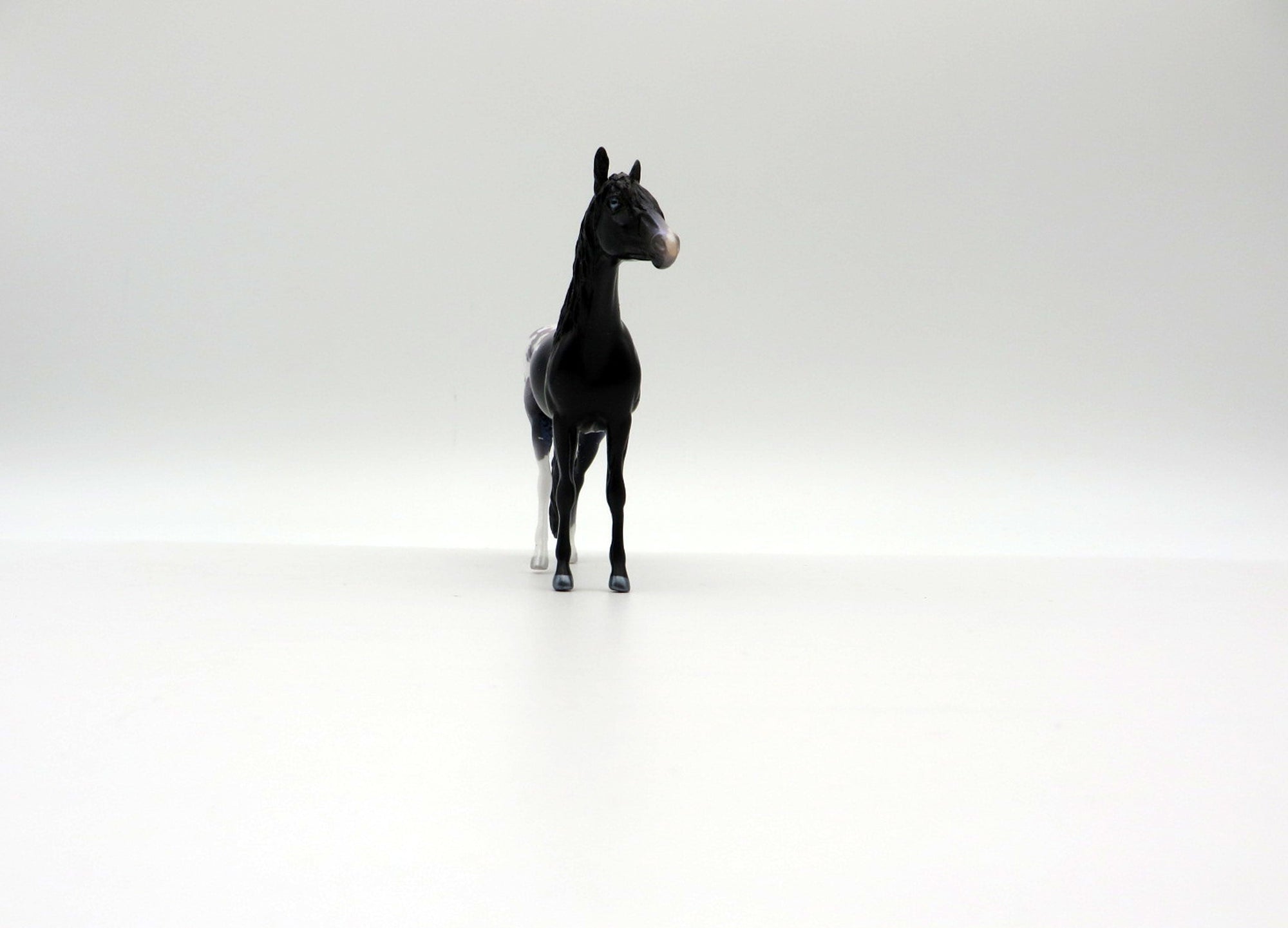 Star Gazer-OOAK Andalusian Chip Deco Painted By Ellen Robbins  6/23/21