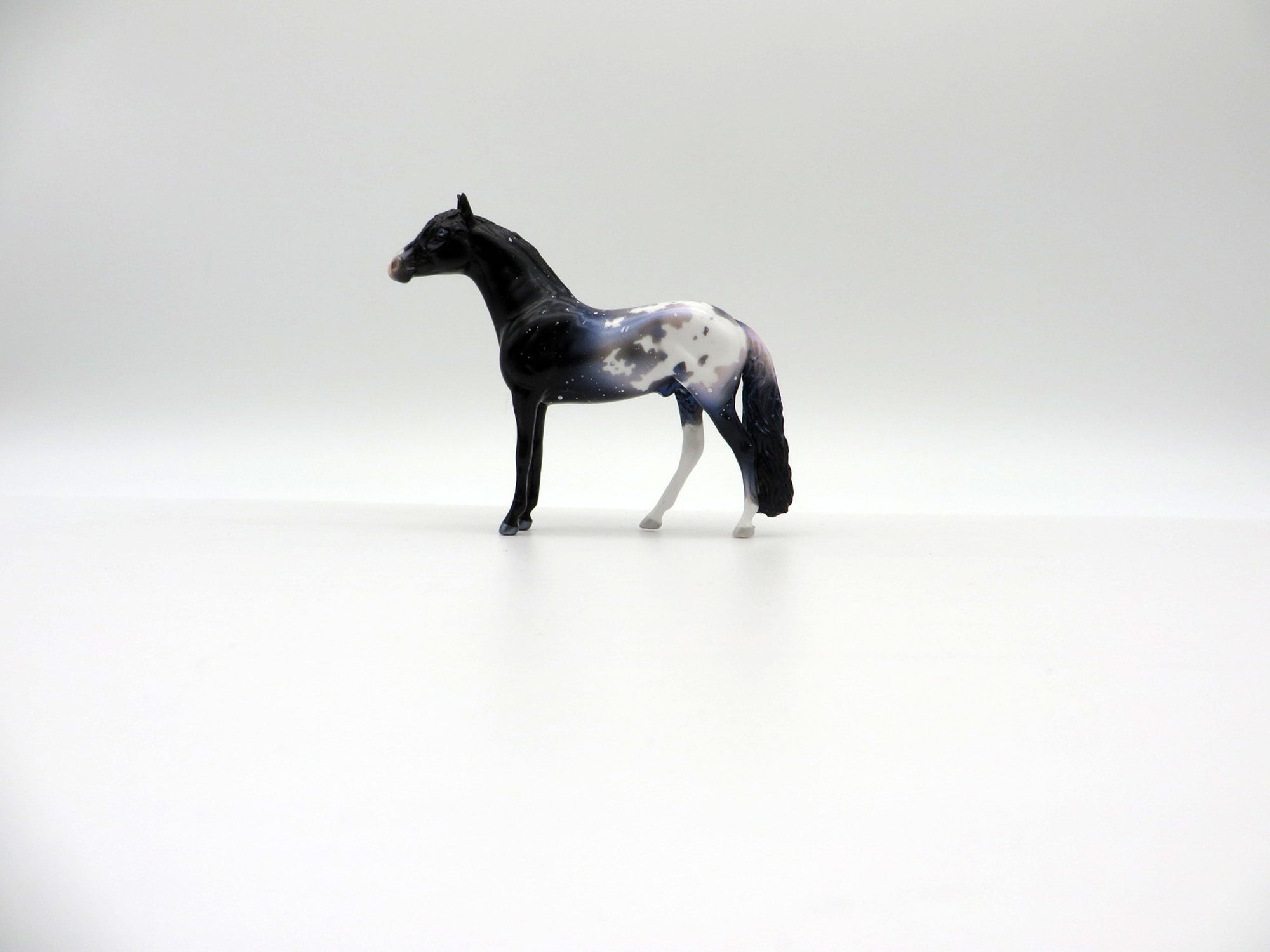 Star Gazer-OOAK Andalusian Chip Deco Painted By Ellen Robbins  6/23/21