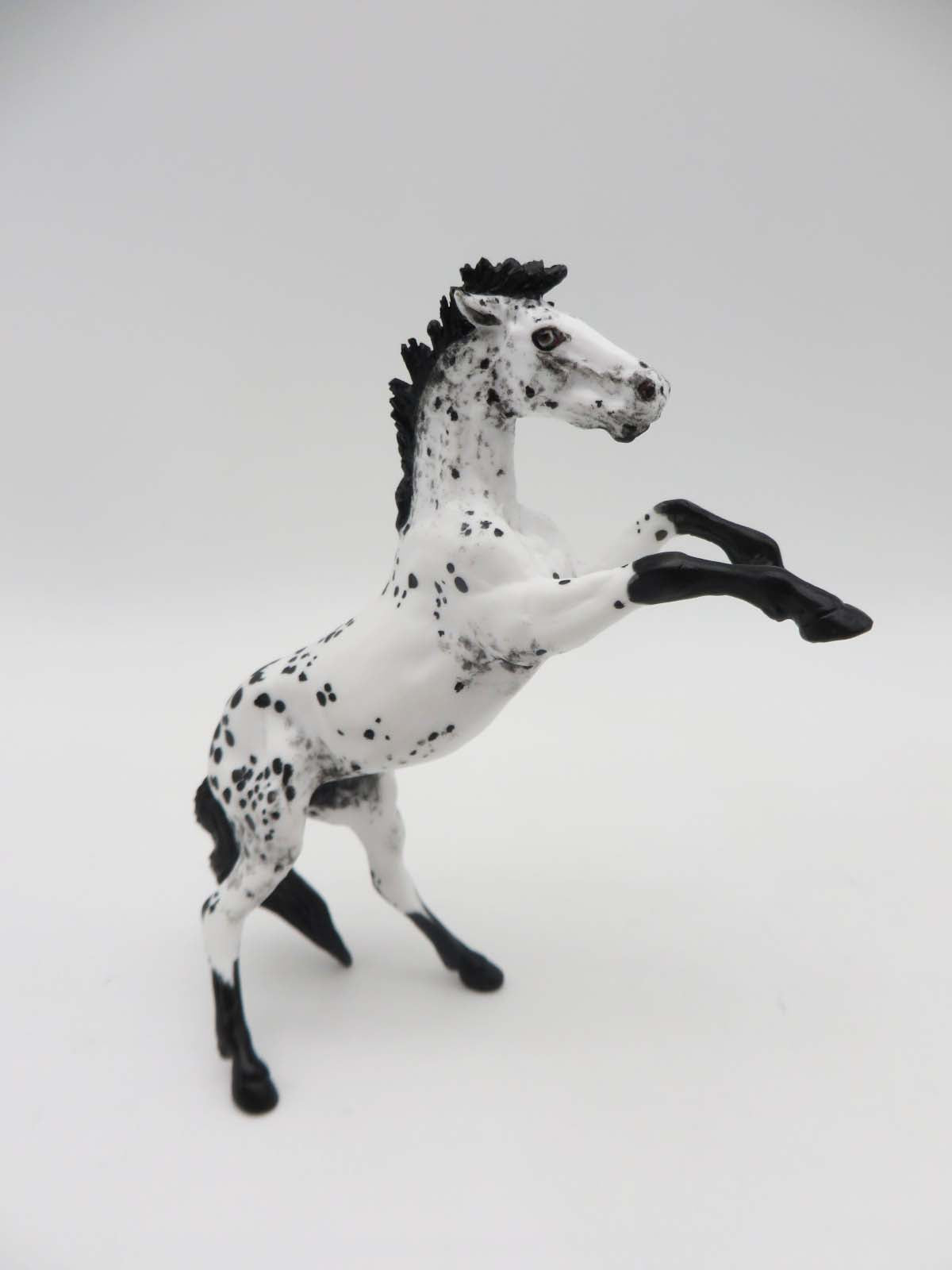 Star Struck -OOAK  Appaloosa Rearing Chip By Andrea Thomason SHCF23