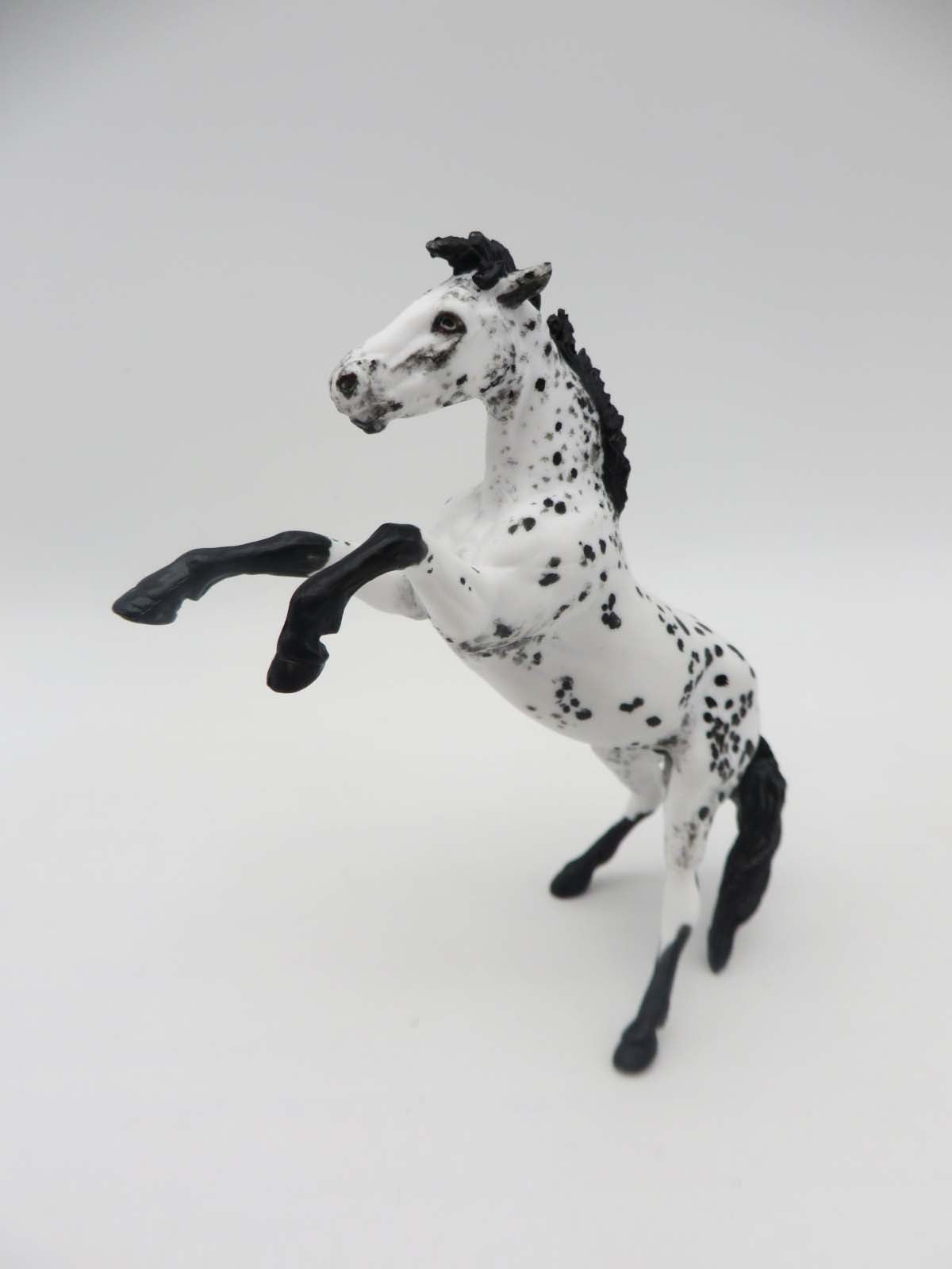 Star Struck -OOAK  Appaloosa Rearing Chip By Andrea Thomason SHCF23