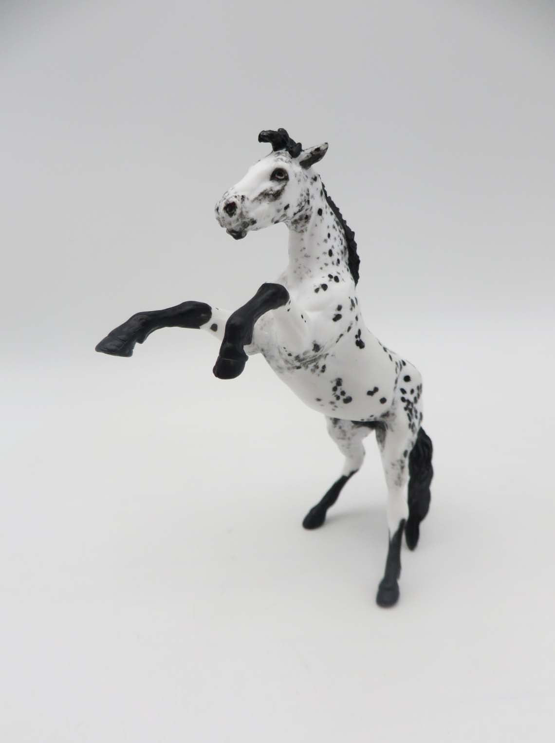 Star Struck -OOAK  Appaloosa Rearing Chip By Andrea Thomason SHCF23