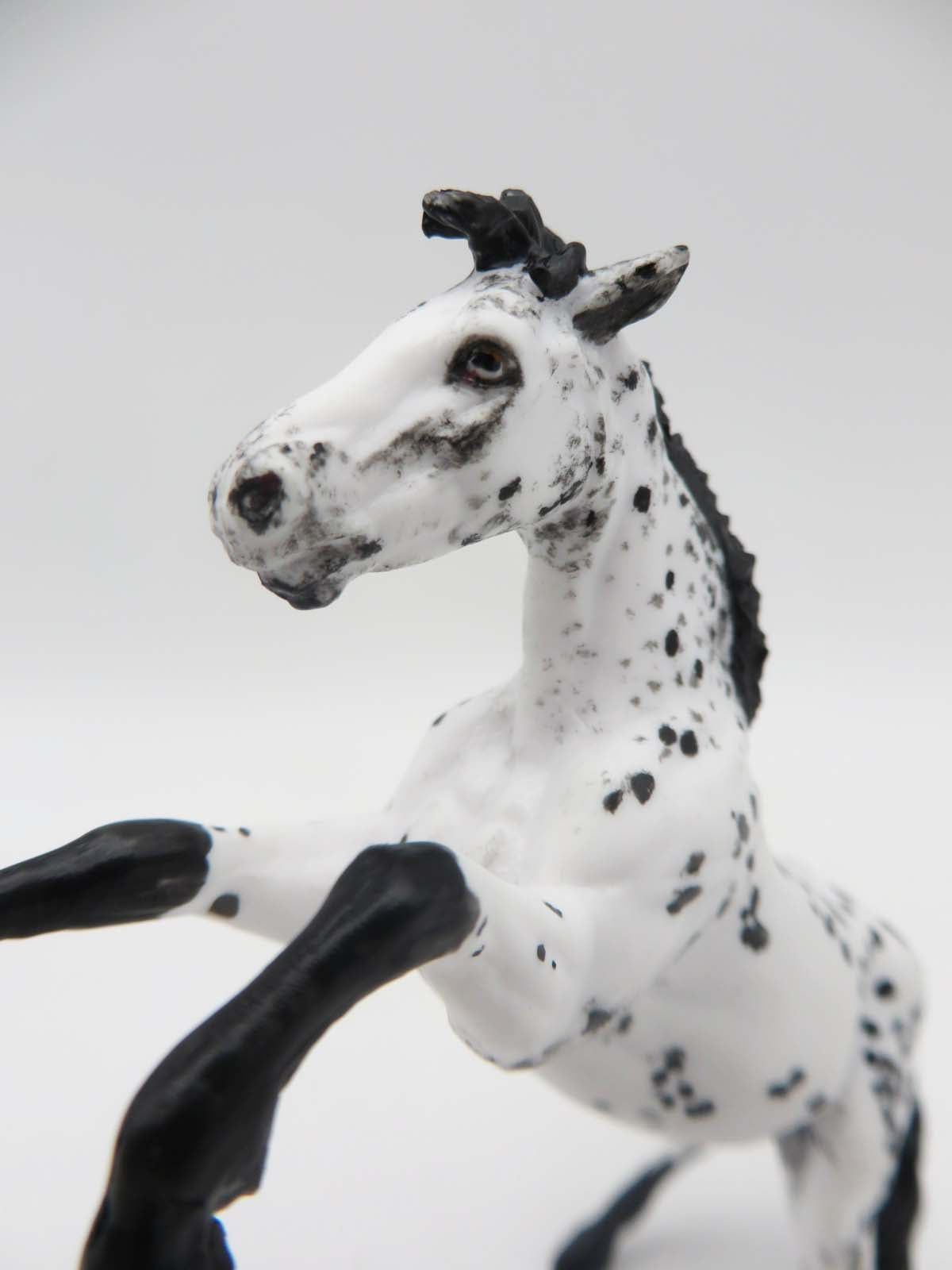 Star Struck -OOAK  Appaloosa Rearing Chip By Andrea Thomason SHCF23