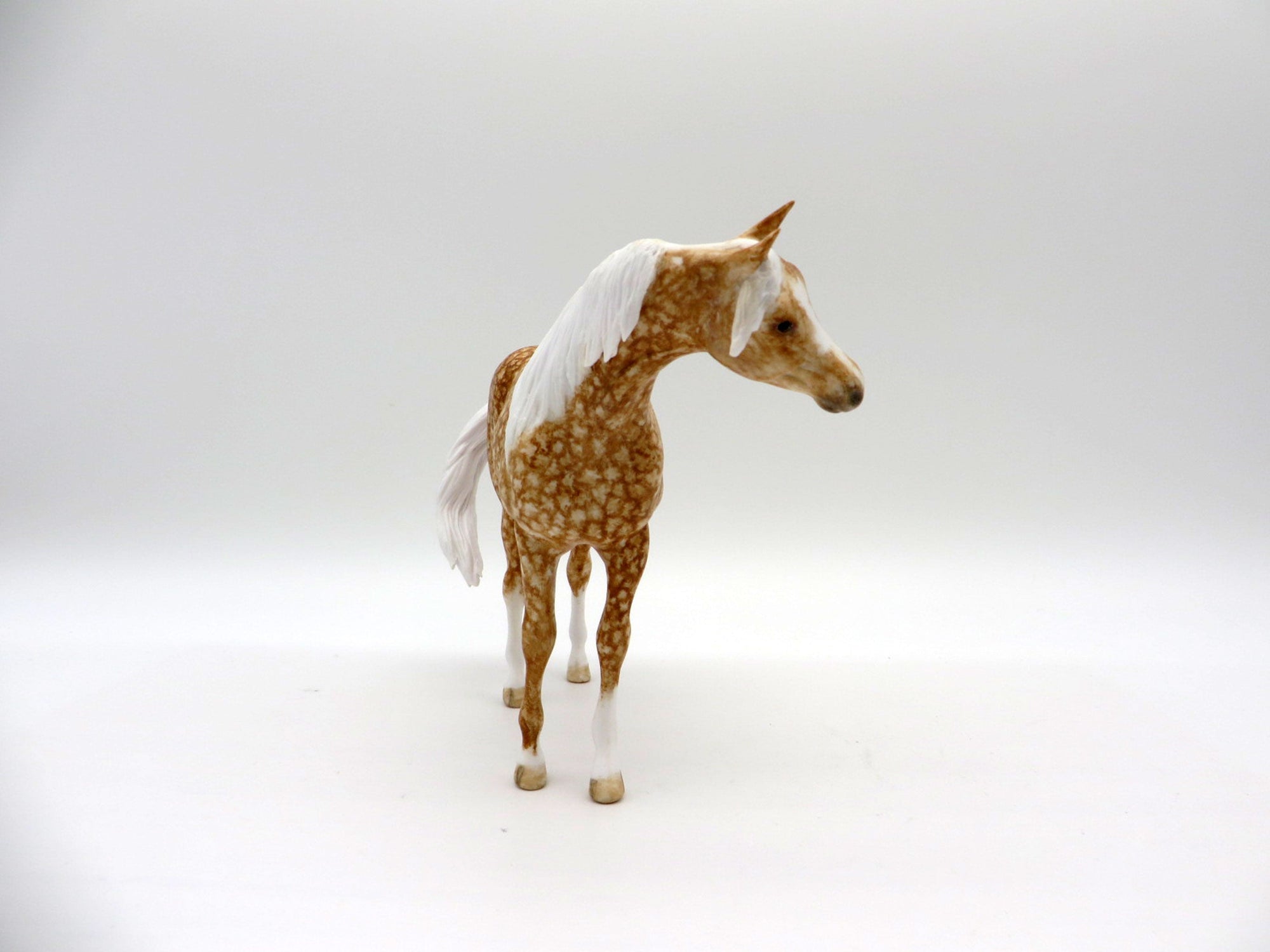 Starbright-OOAK Dapple Palomino Black Arabian Pebbles Painted By Andrea EQ 21