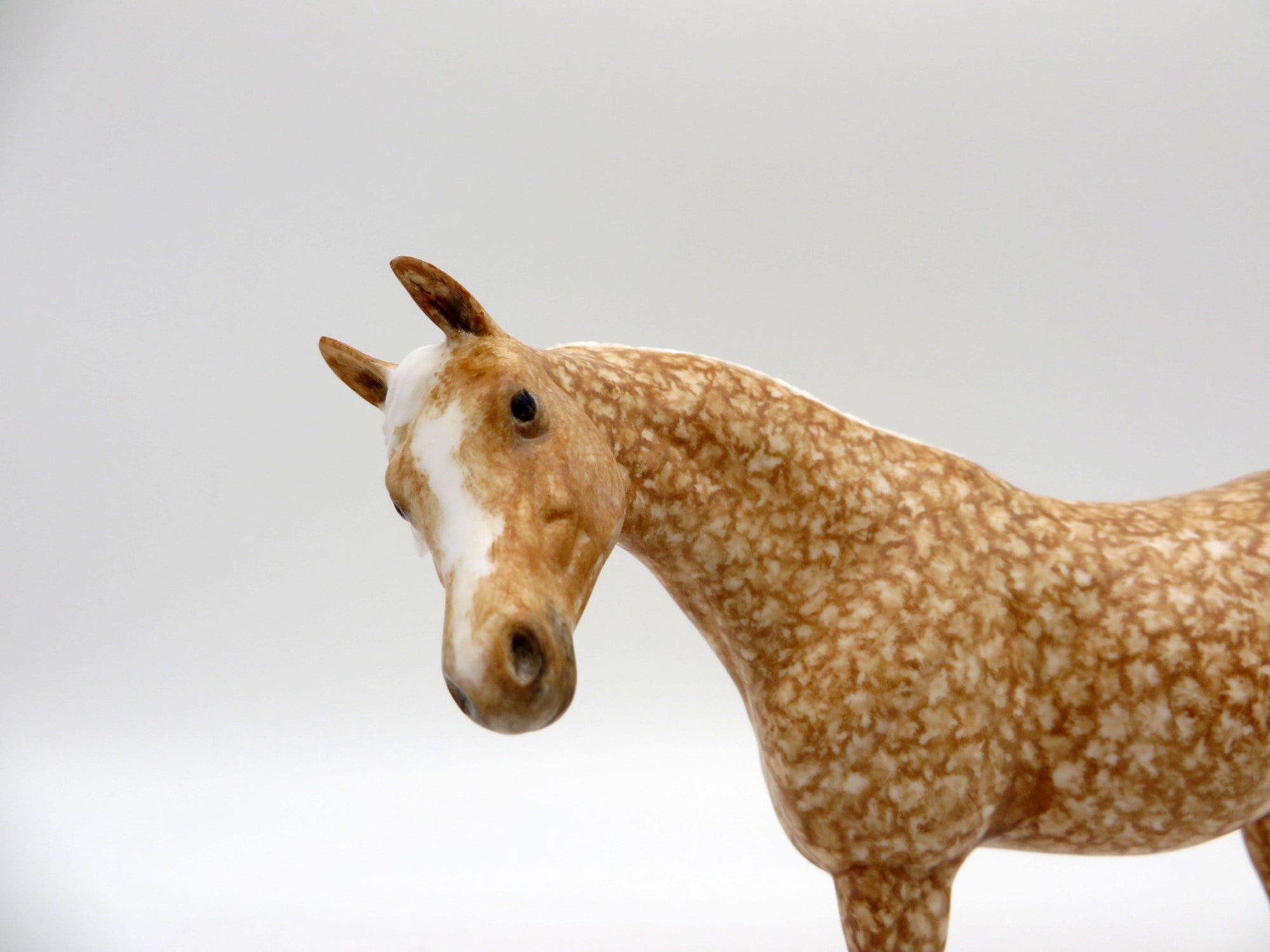 Starbright-OOAK Dapple Palomino Black Arabian Pebbles Painted By Andrea EQ 21