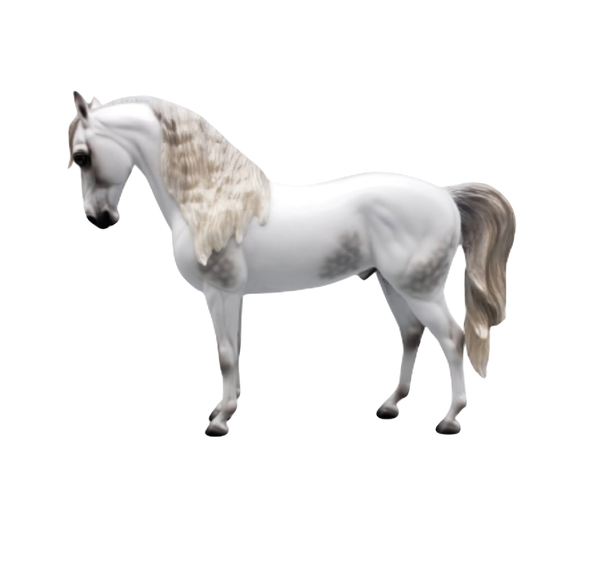 Staring Gaze Of Faith Dappled Grey Andalusian By Ashley Palmer AoTH23