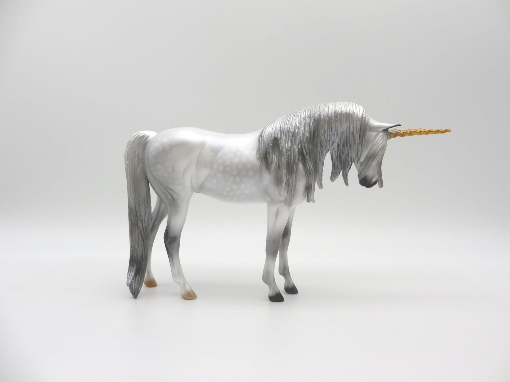 Starlight-LE-10 Pebbles Arab Dapple Grey Unicorn 4/9/21