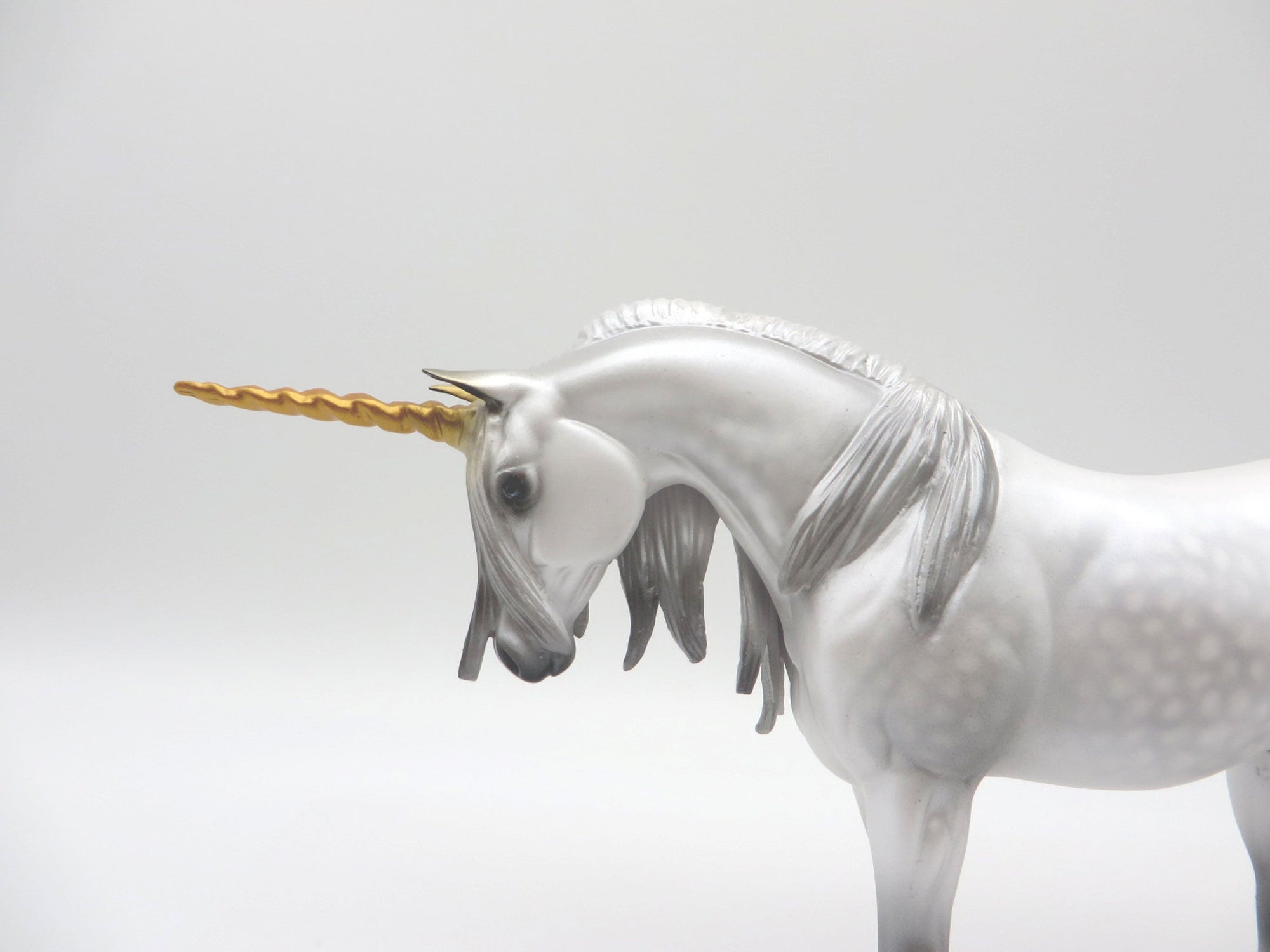 Starlight-LE-10 Pebbles Arab Dapple Grey Unicorn 4/9/21