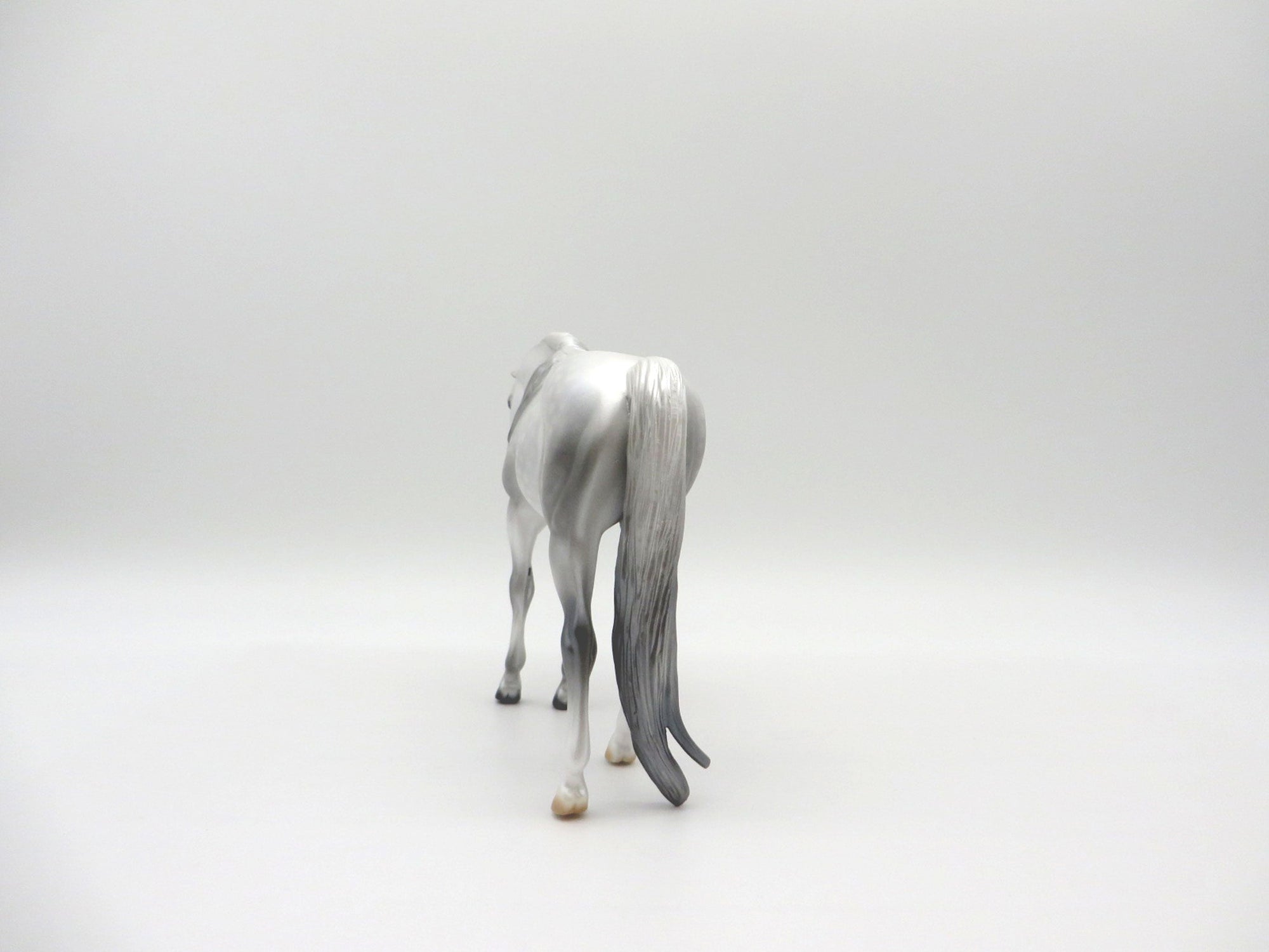 Starlight-LE-10 Pebbles Arab Dapple Grey Unicorn 4/9/21