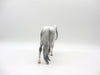 Starlight-LE-10 Pebbles Arab Dapple Grey Unicorn 4/9/21