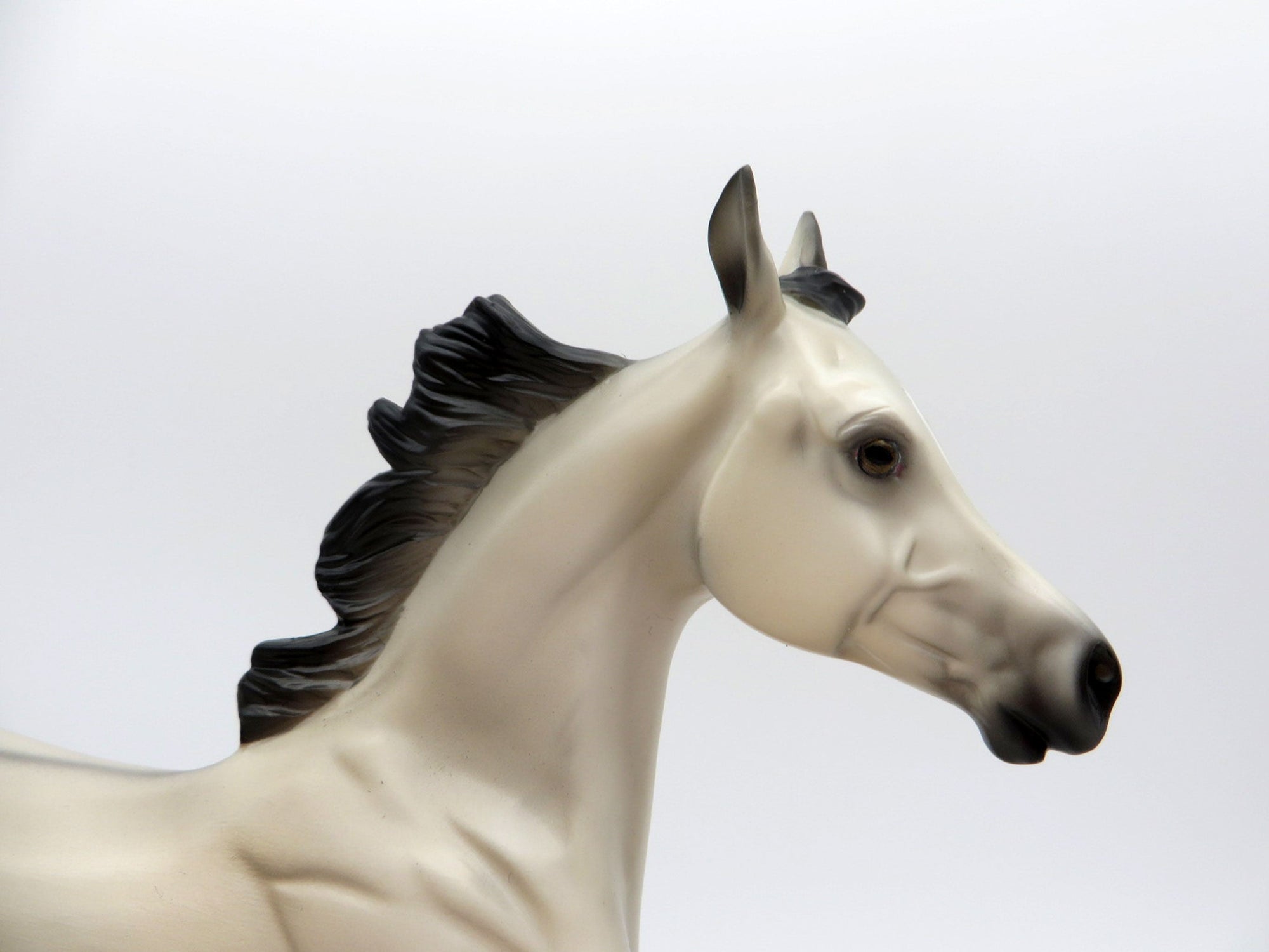 Starwell-OOAK Buckskin Yearling Painted By Ellen Robbins  EQ 21