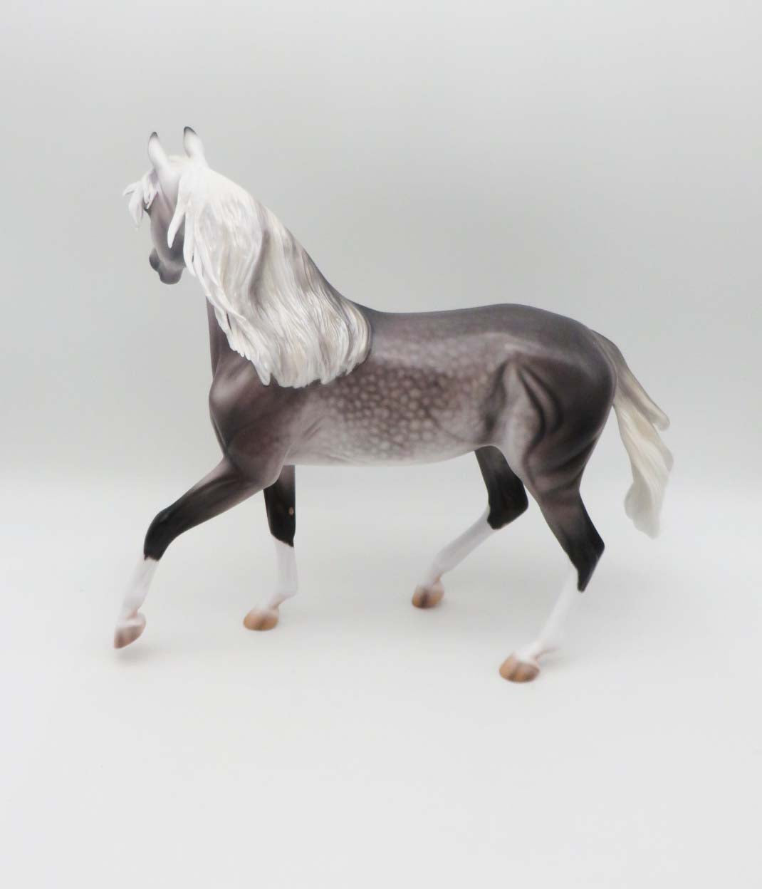 Stefani-OOAK Pinned Ear Dapple Grey Arabian By Caroline Boydston 3/17/23