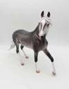 Stefani-OOAK Pinned Ear Dapple Grey Arabian By Caroline Boydston 3/17/23