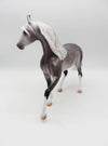 Stefani-OOAK Pinned Ear Dapple Grey Arabian By Caroline Boydston 3/17/23