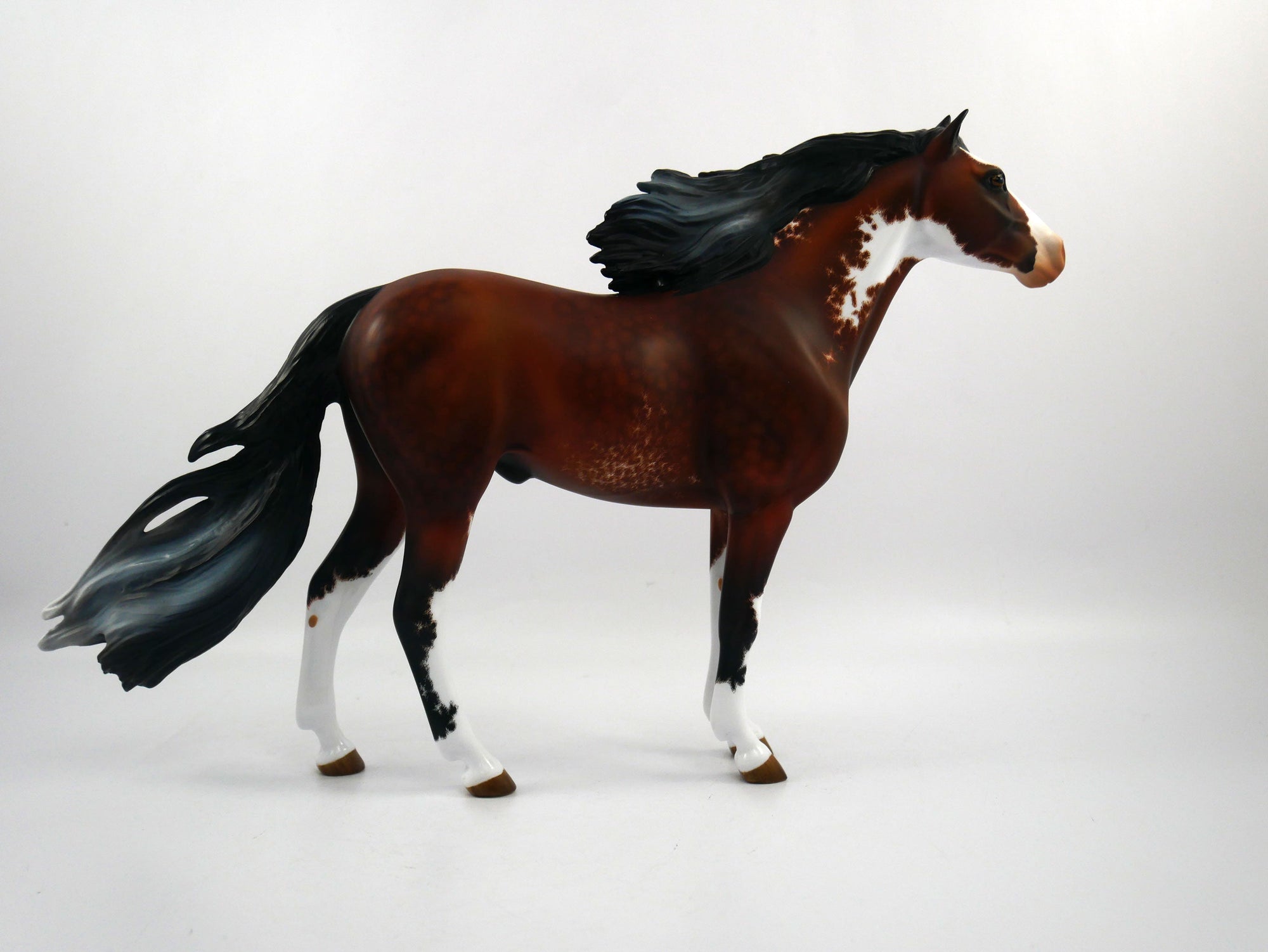 Stewart Creek Etched Spanish Mustang by Audrey Dixon 2/21