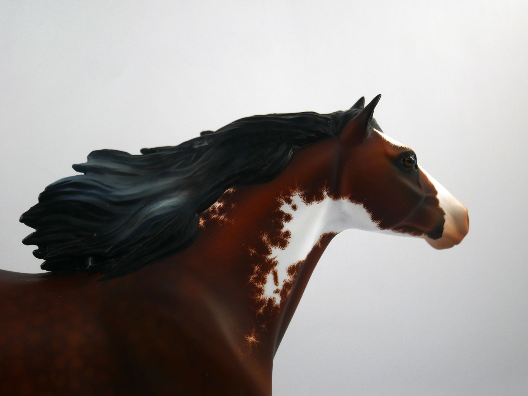 Stewart Creek Etched Spanish Mustang by Audrey Dixon 2/21