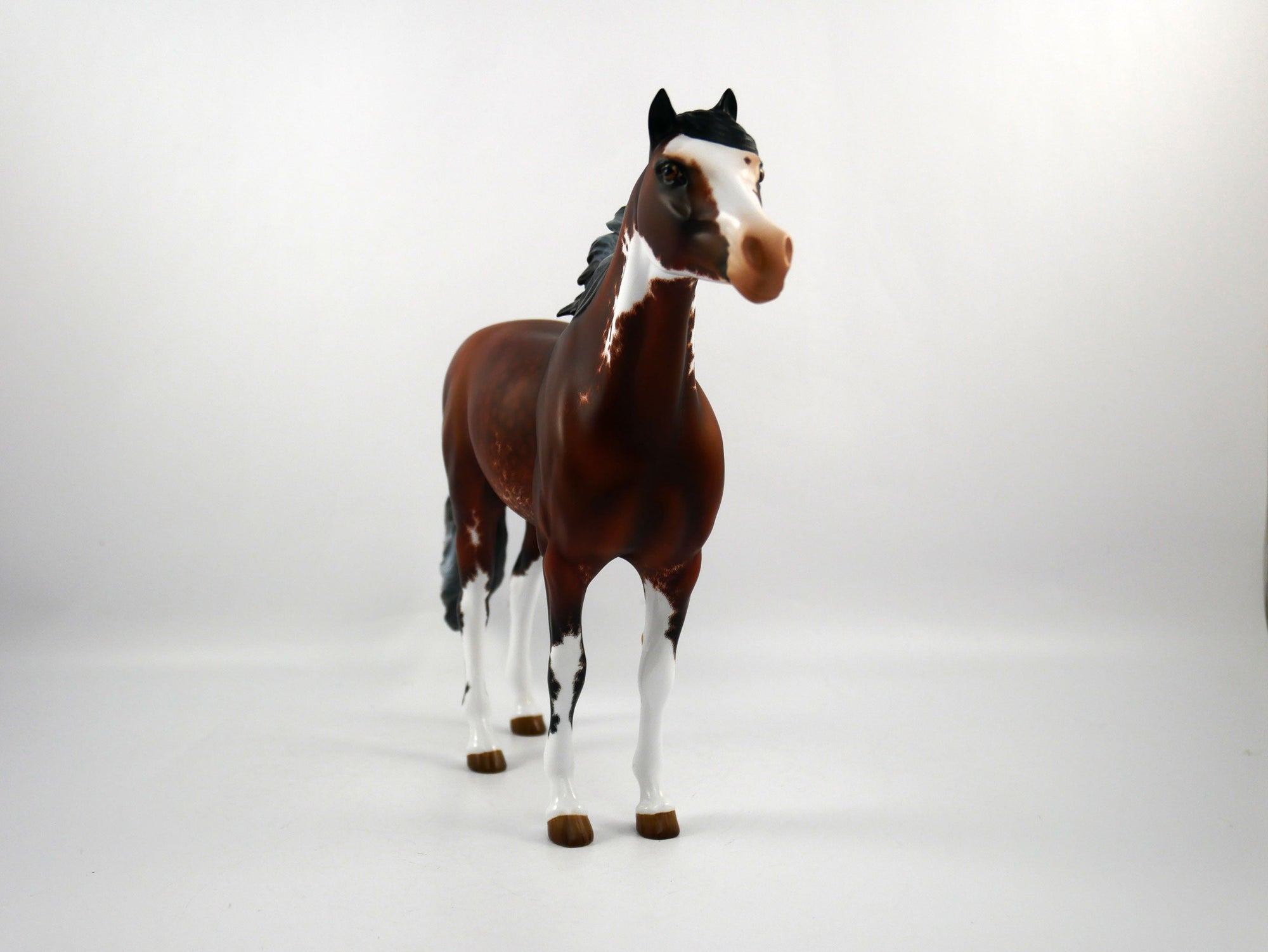 Stewart Creek Etched Spanish Mustang by Audrey Dixon 2/21