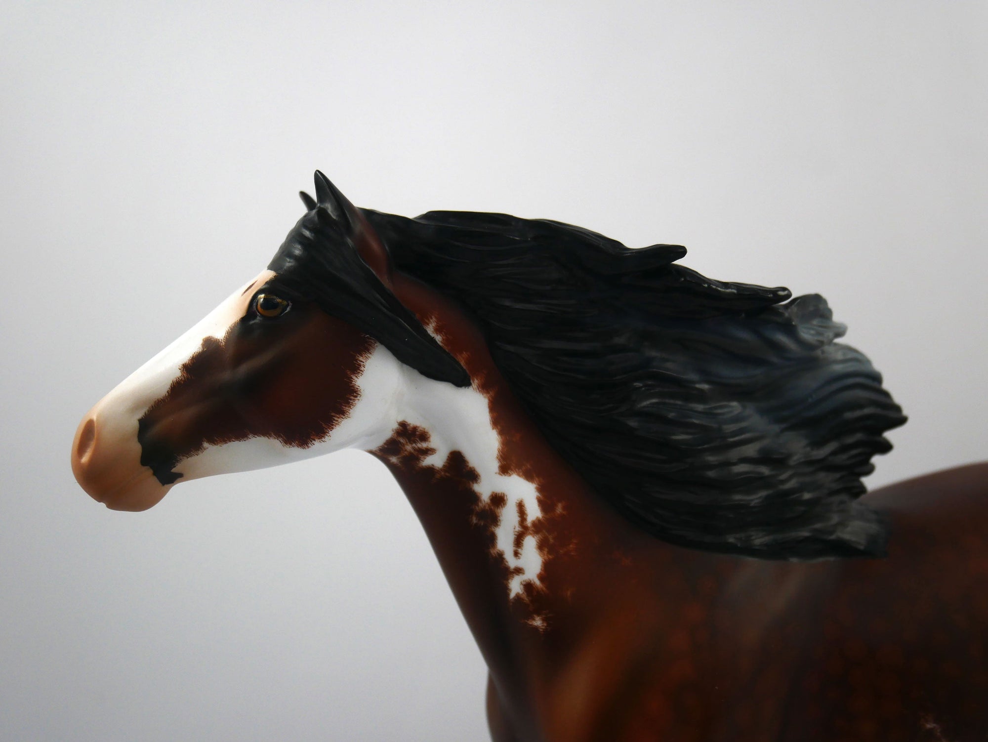 Stewart Creek Etched Spanish Mustang by Audrey Dixon 2/21