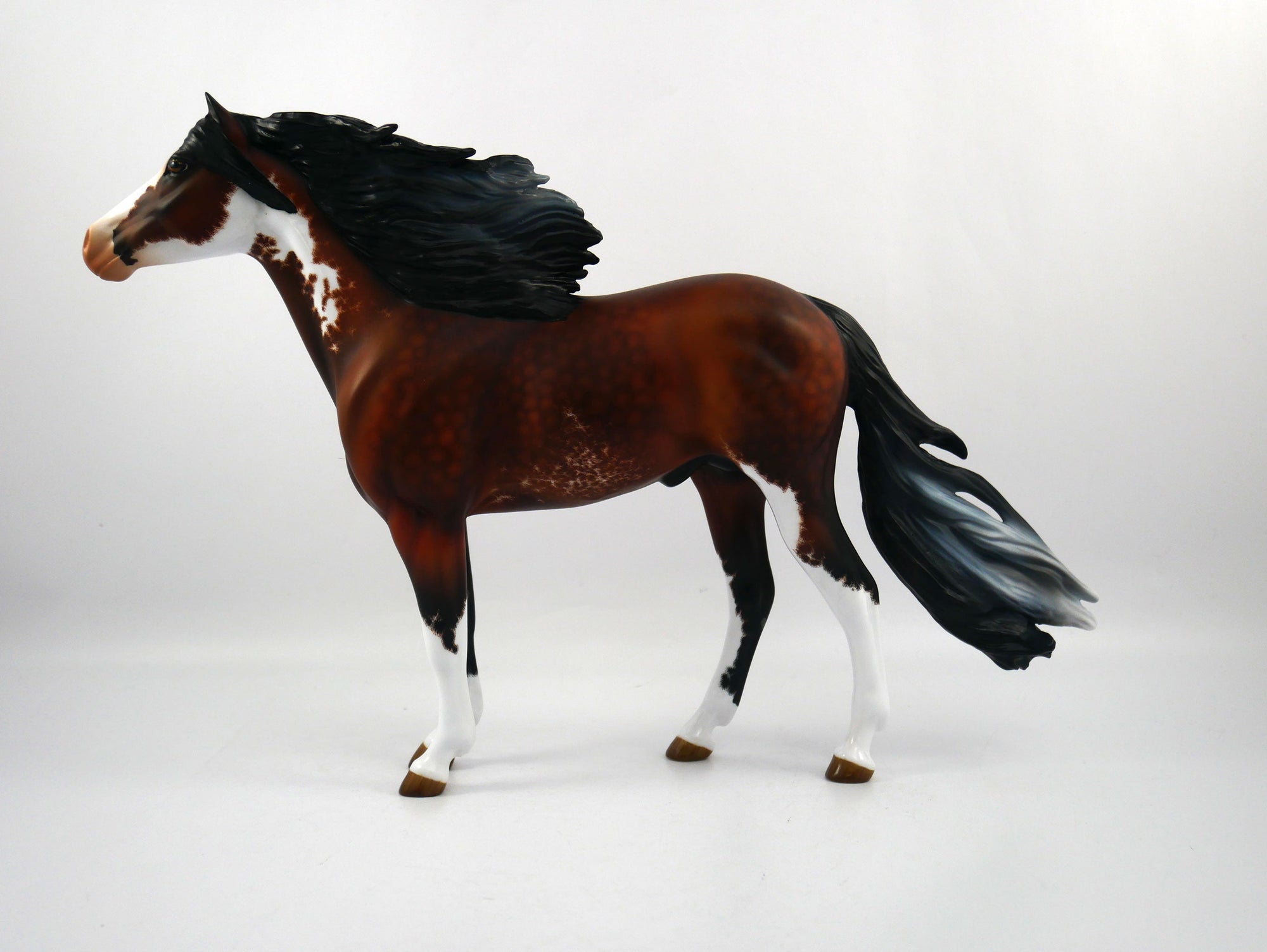 Stewart Creek Etched Spanish Mustang by Audrey Dixon 2/21