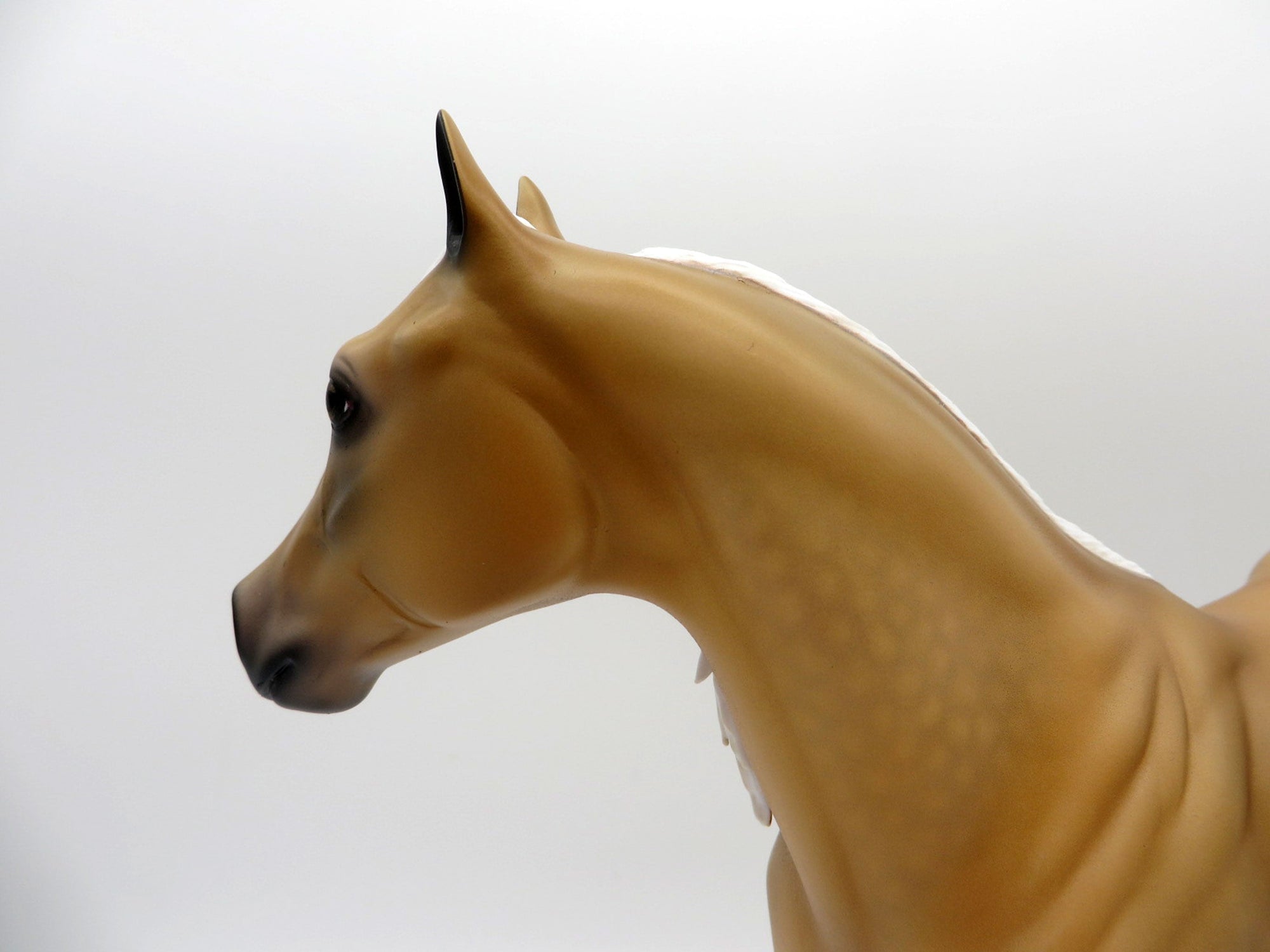 Stoker-OOAK Dapple Palomino ISH Painted By Audrey Dixon EQ 21