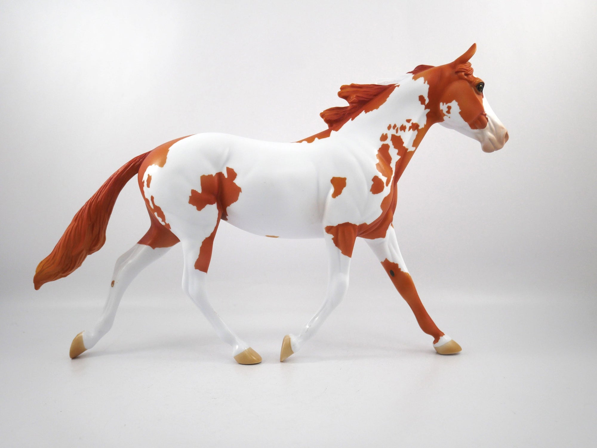 Stole The Game-OOAK Chestnut Paint Palouse SB21