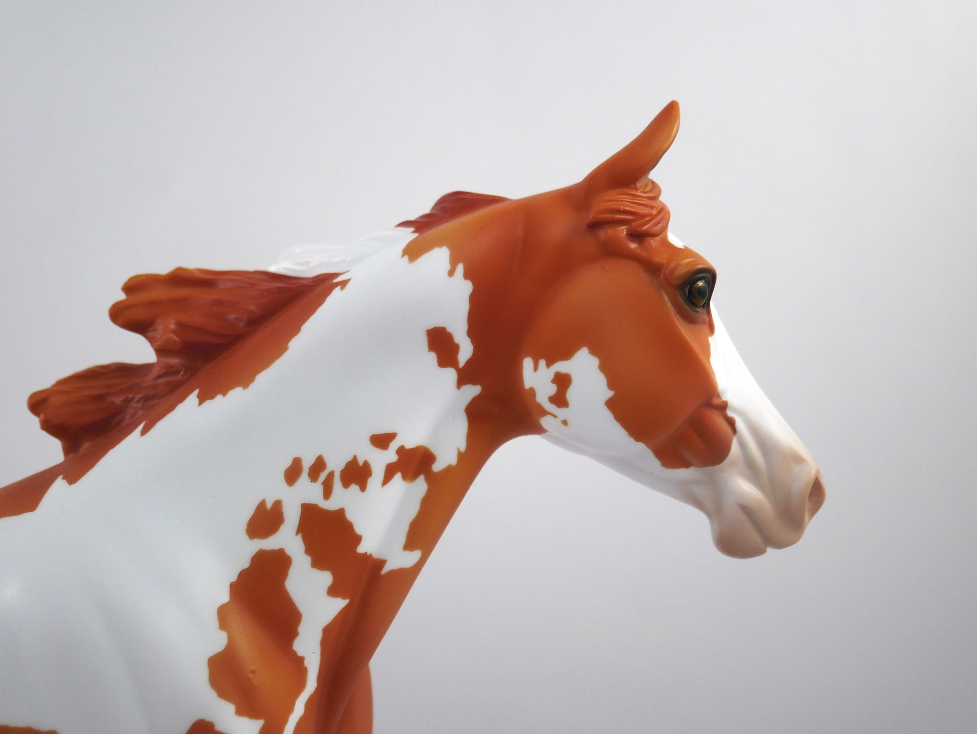 Stole The Game-OOAK Chestnut Paint Palouse SB21