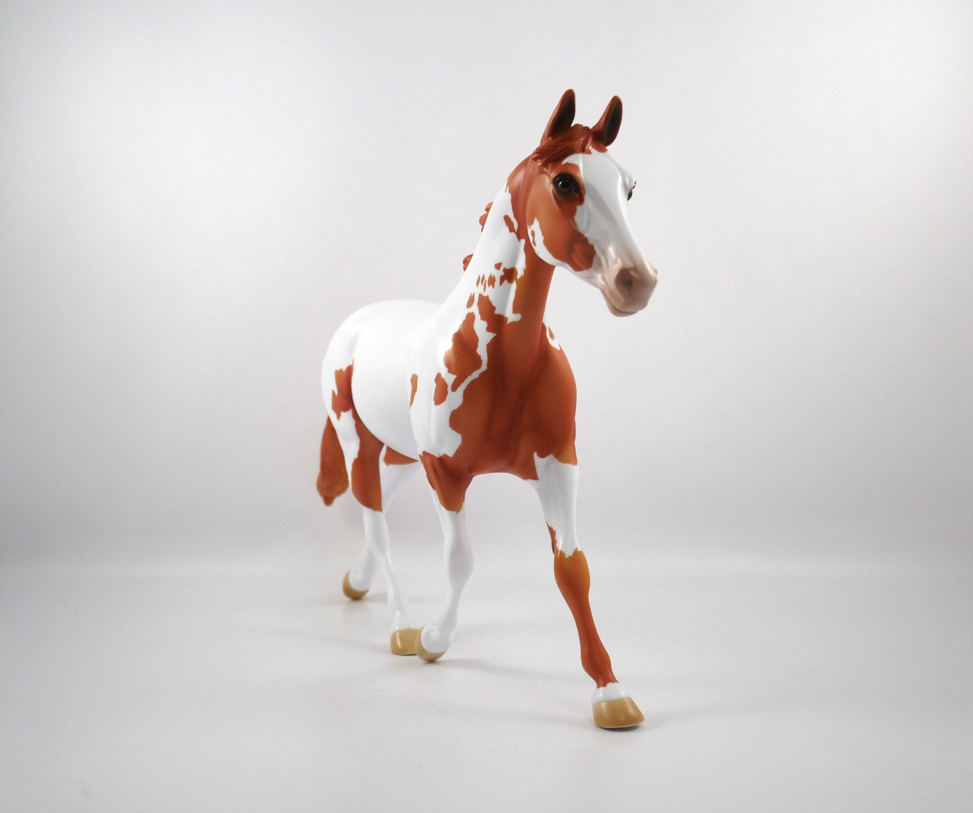 Stole The Game-OOAK Chestnut Paint Palouse SB21