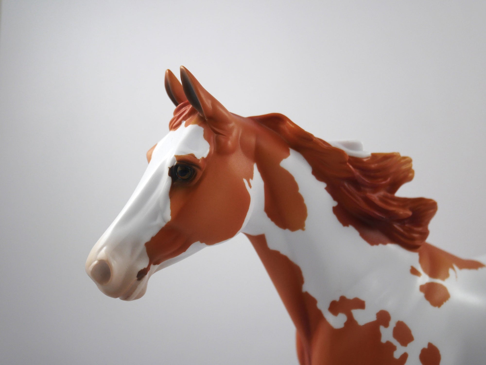 Stole The Game-OOAK Chestnut Paint Palouse SB21