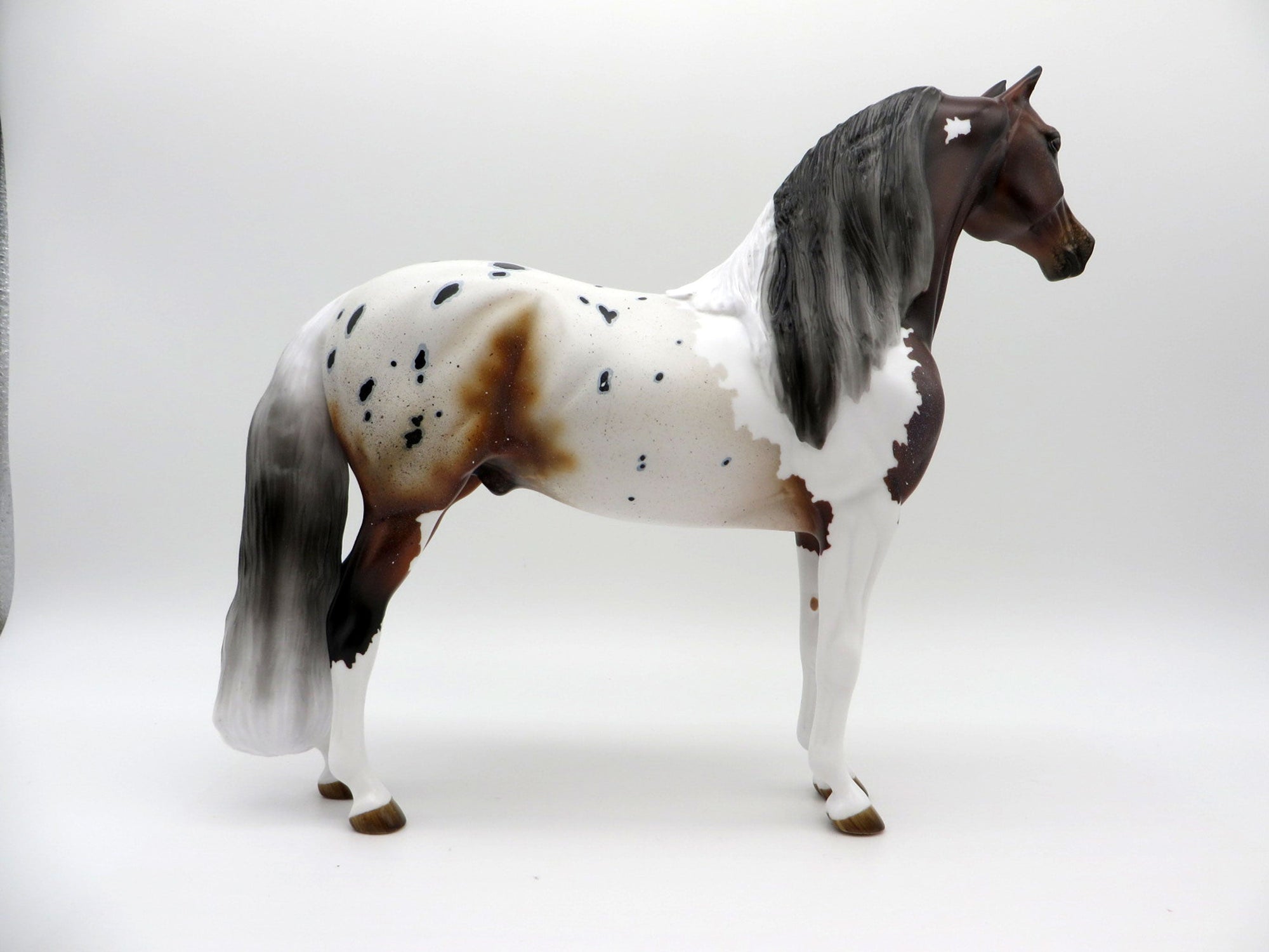 Stone Fish-OOAK Bay Pintaloosa Morgan Painted By Audrey Dixon 7/16/21