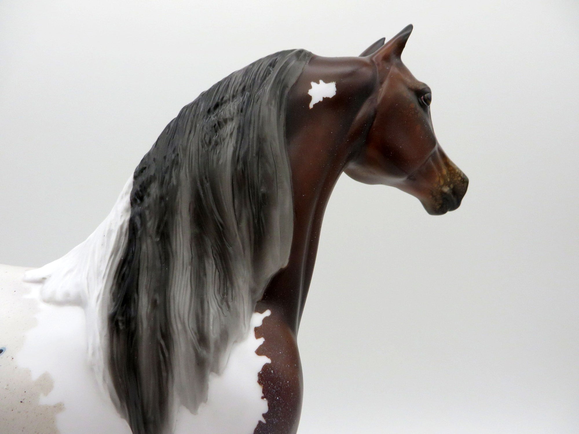 Stone Fish-OOAK Bay Pintaloosa Morgan Painted By Audrey Dixon 7/16/21