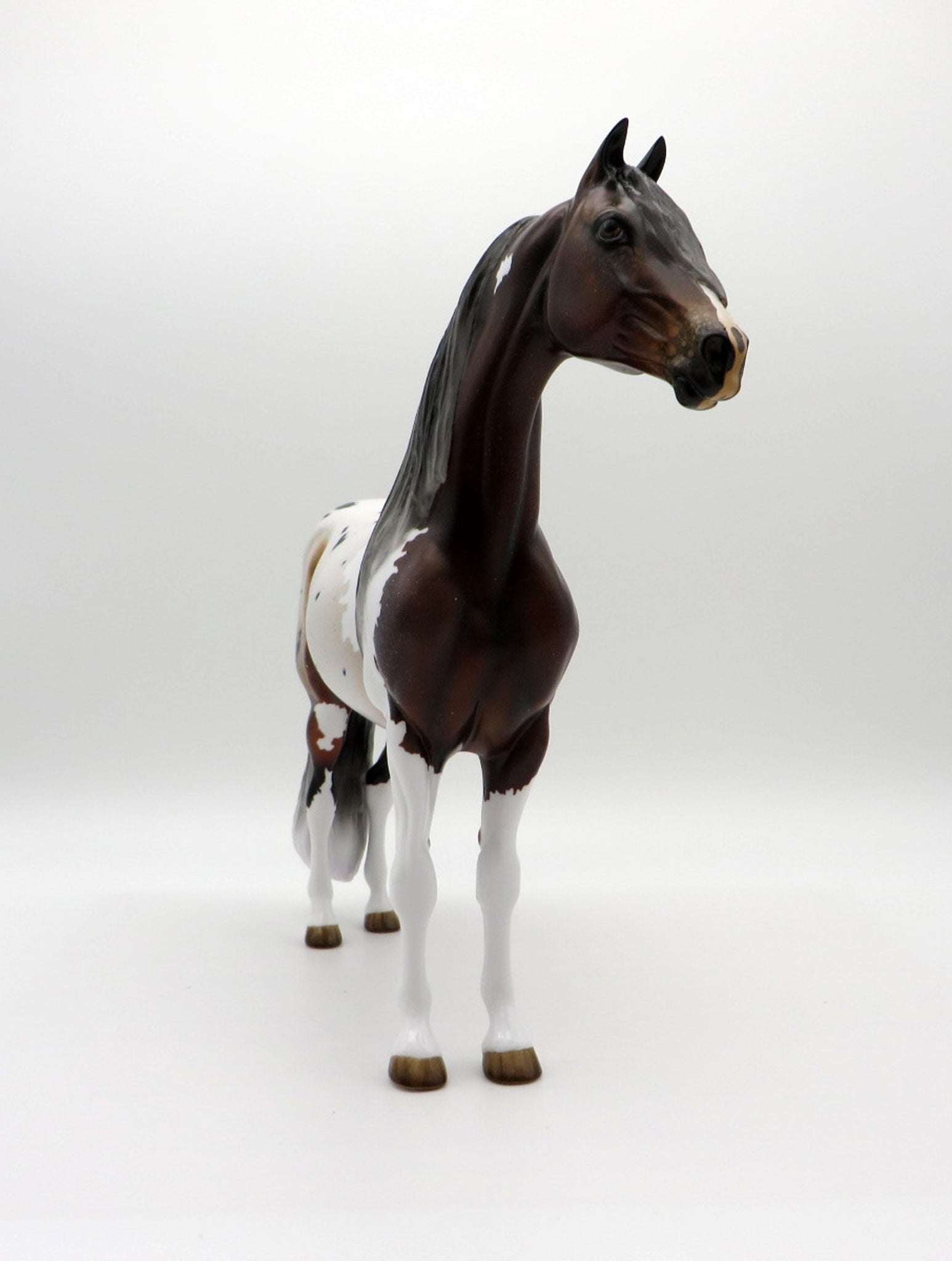 Stone Fish-OOAK Bay Pintaloosa Morgan Painted By Audrey Dixon 7/16/21