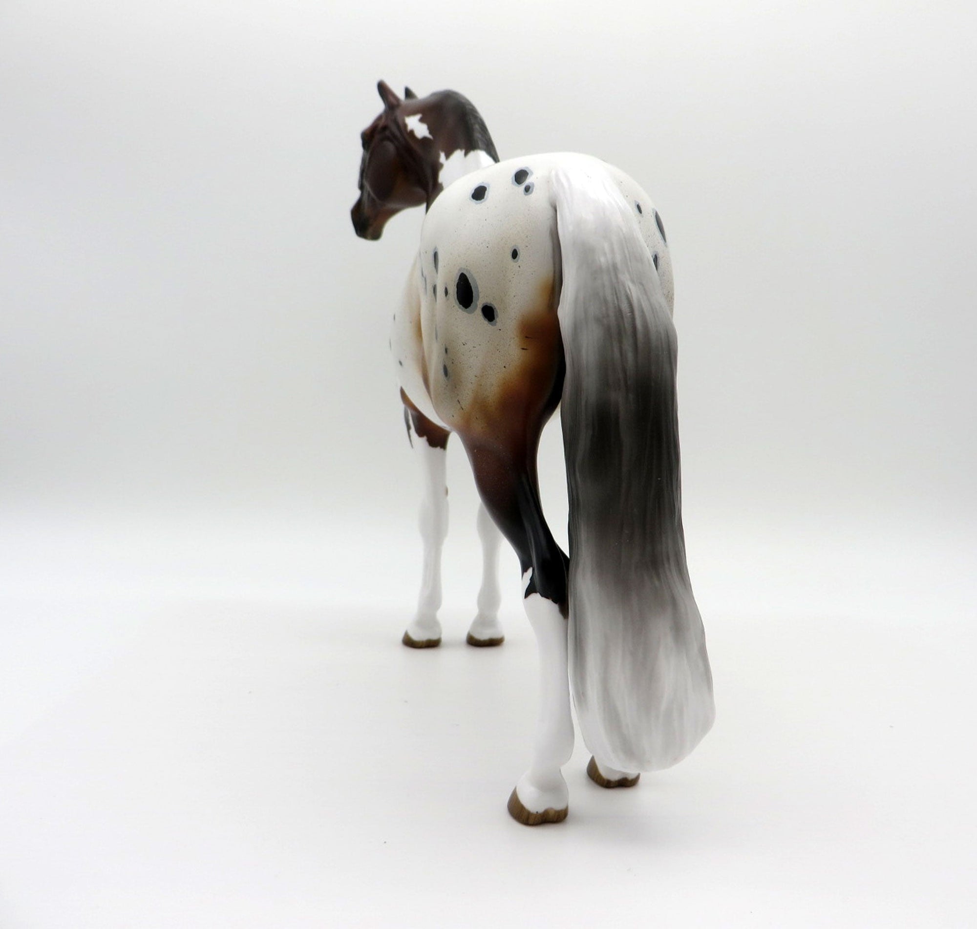 Stone Fish-OOAK Bay Pintaloosa Morgan Painted By Audrey Dixon 7/16/21