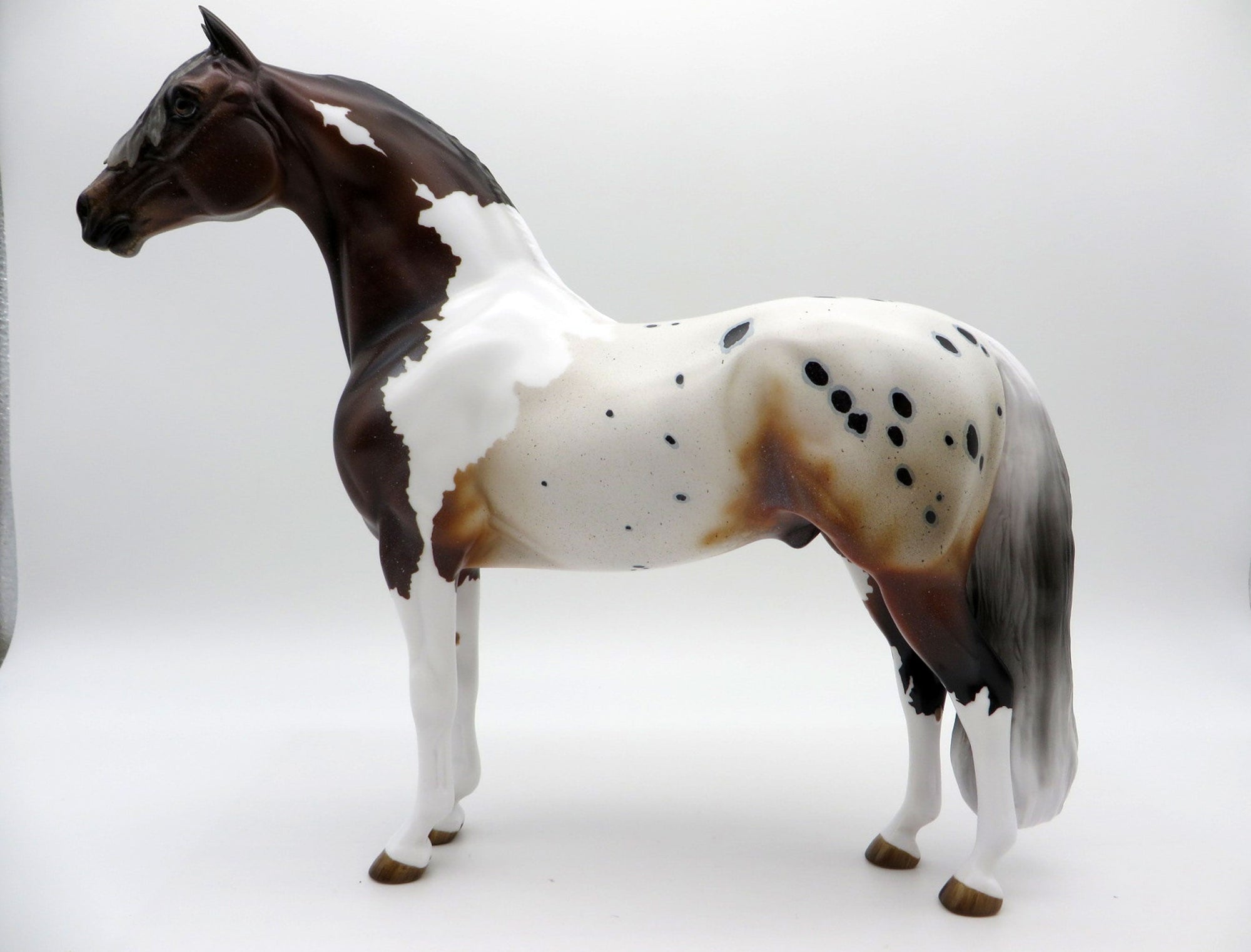 Stone Fish-OOAK Bay Pintaloosa Morgan Painted By Audrey Dixon 7/16/21