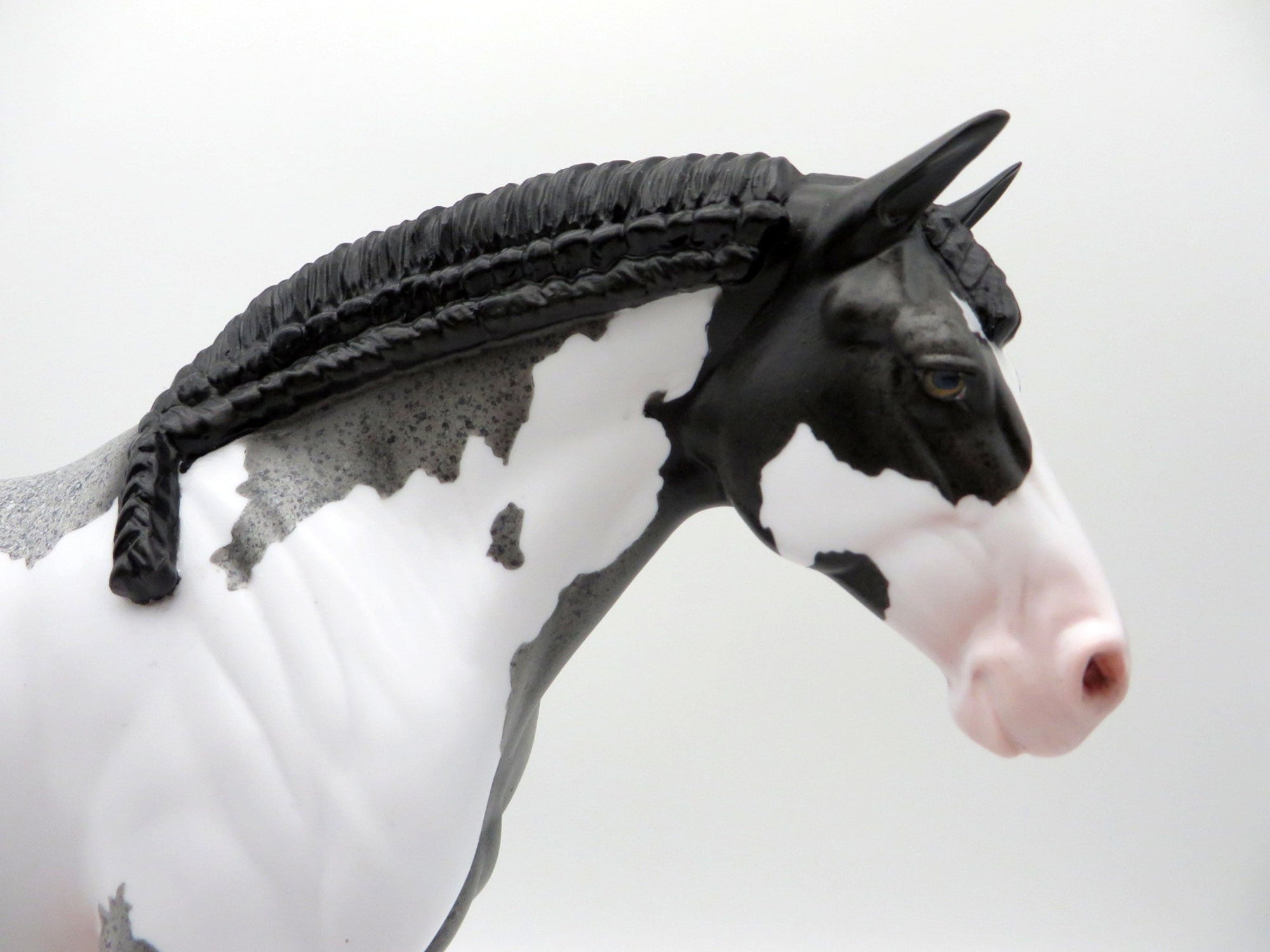 Storm Cloud-OOAK Blue Roan Paint Heavy Draft Mare SHCF 2021