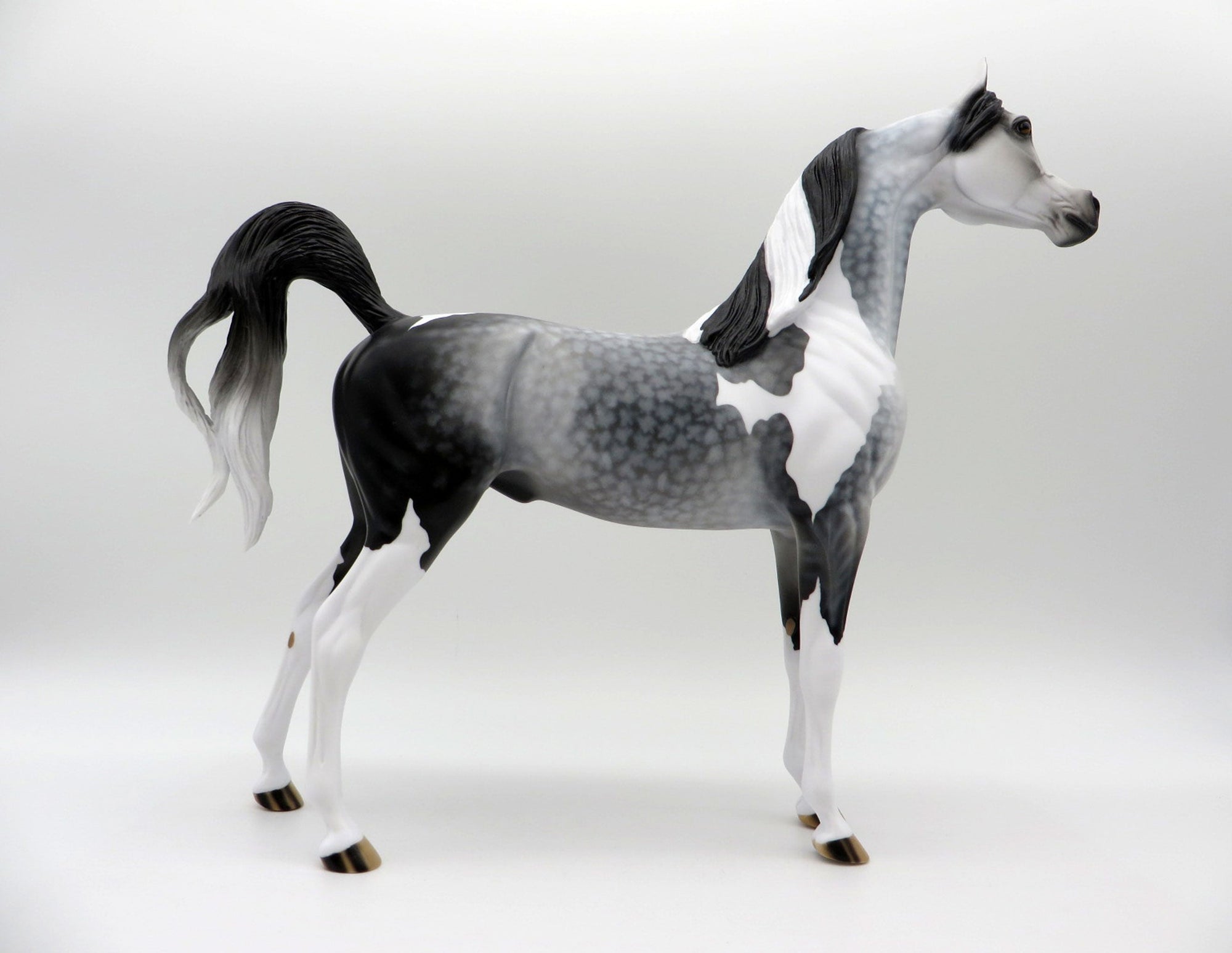 Storm Chaser-OOAK Dapple Grey Paint Arabian SHCF 2021