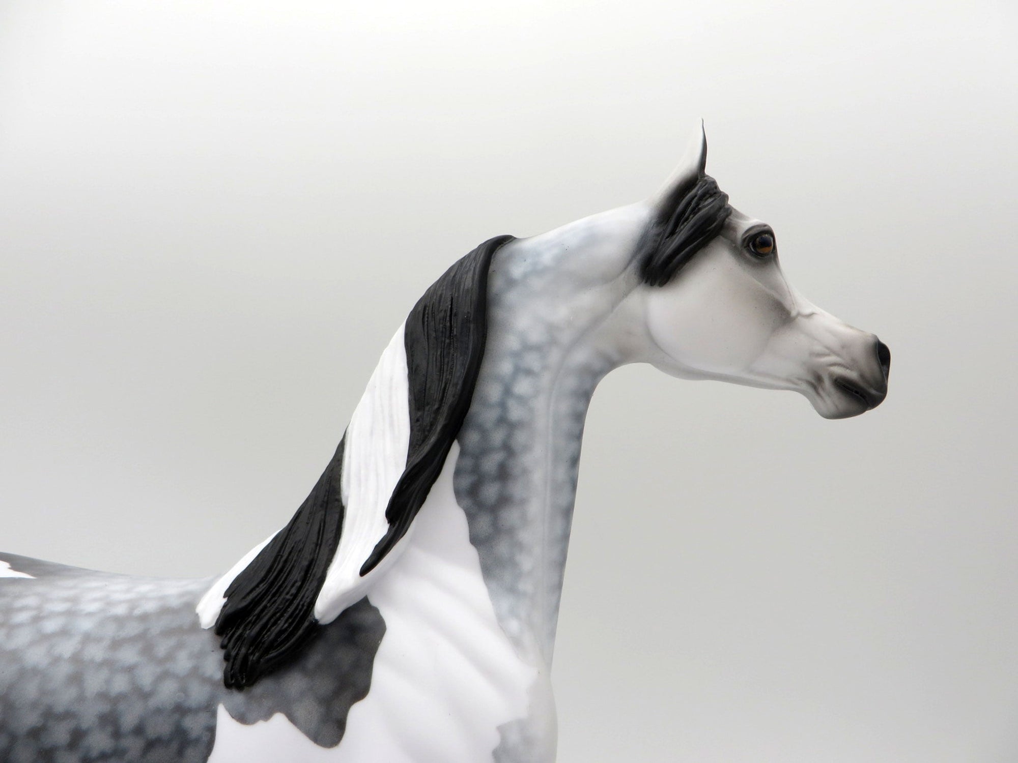 Storm Chaser-OOAK Dapple Grey Paint Arabian SHCF 2021