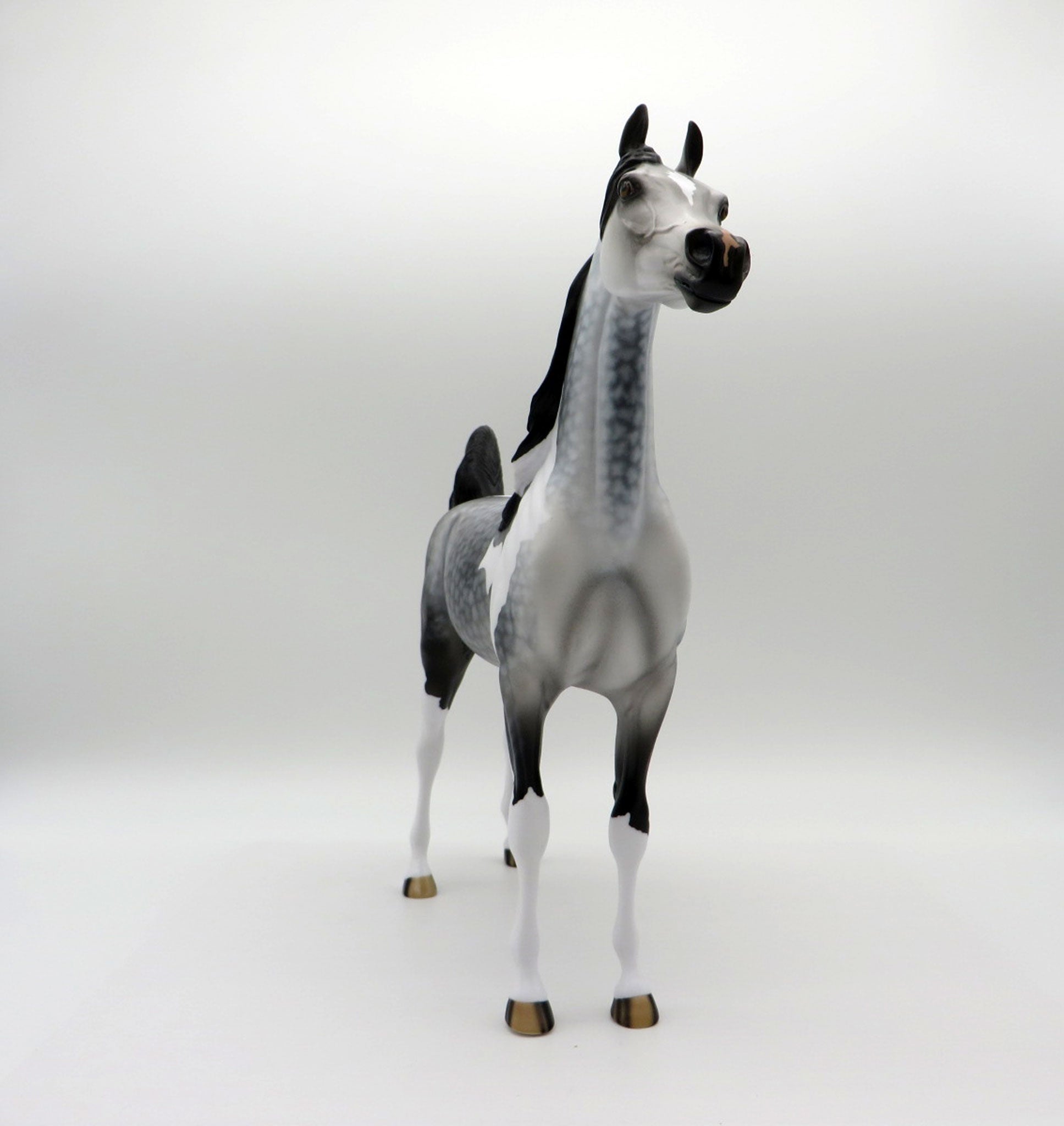 Storm Chaser-OOAK Dapple Grey Paint Arabian SHCF 2021