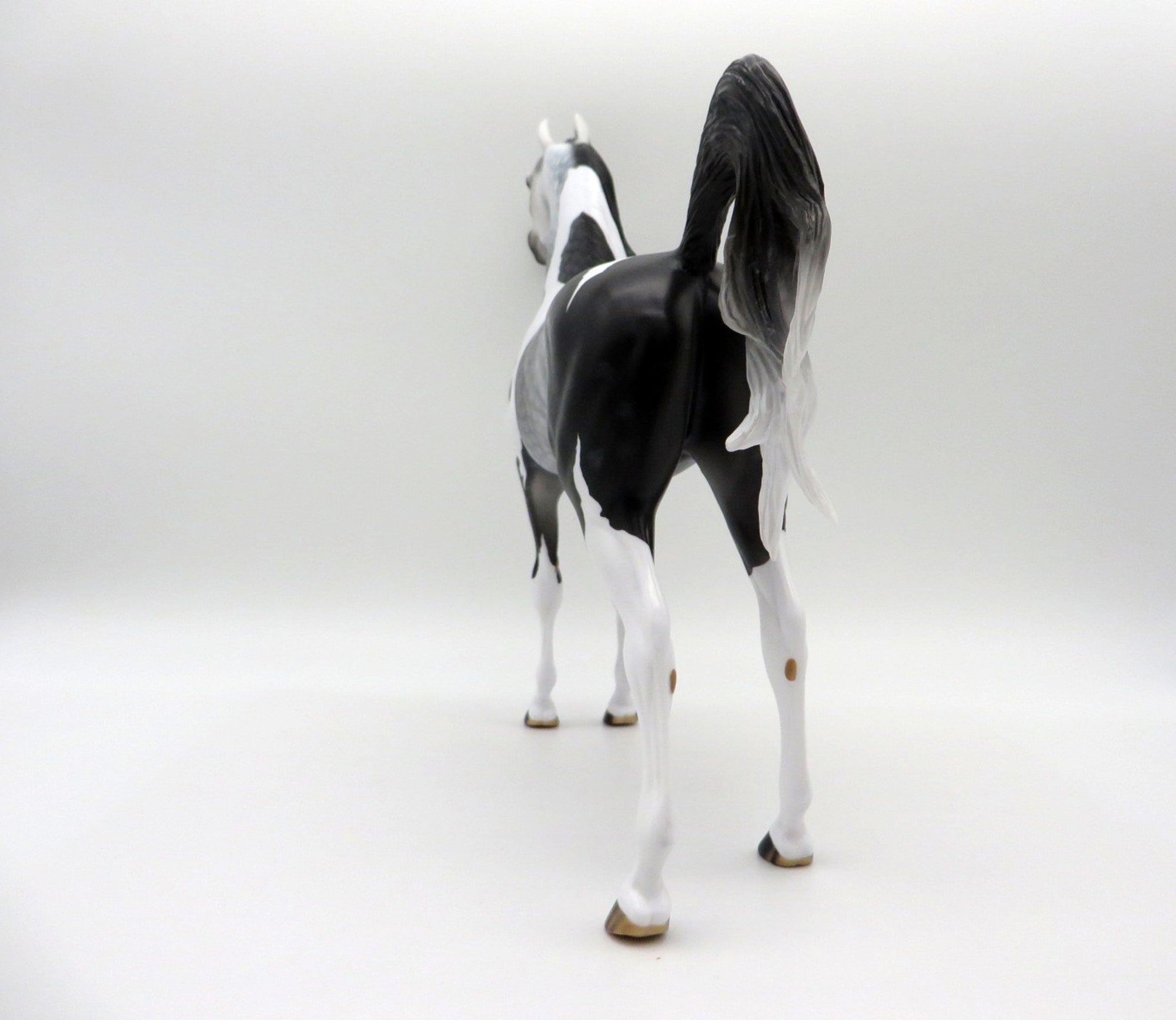 Storm Chaser-OOAK Dapple Grey Paint Arabian SHCF 2021
