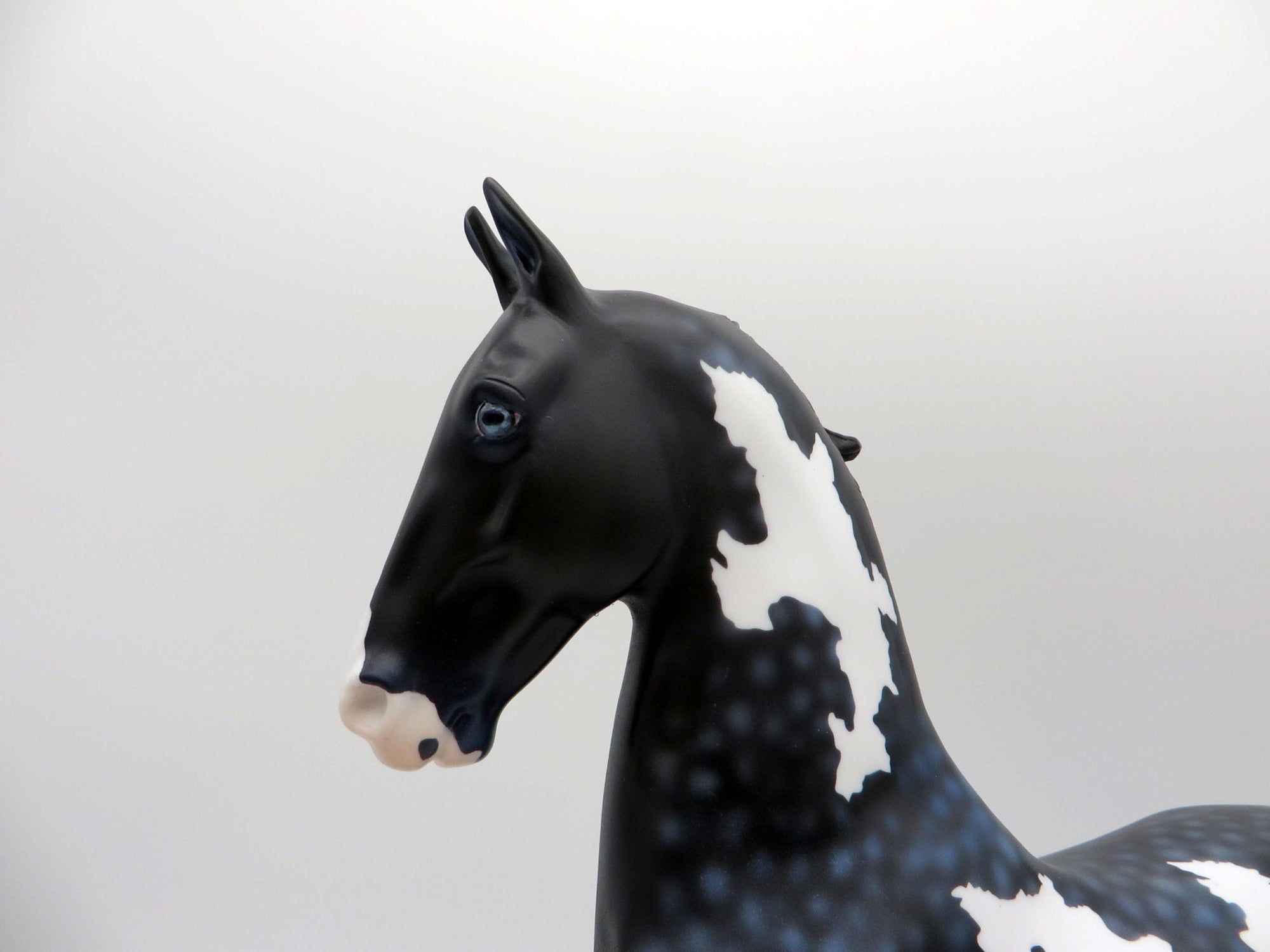 Stormy Seas-OOAK Dapple Black and Blue Paint Saddlebred SHCF 2021