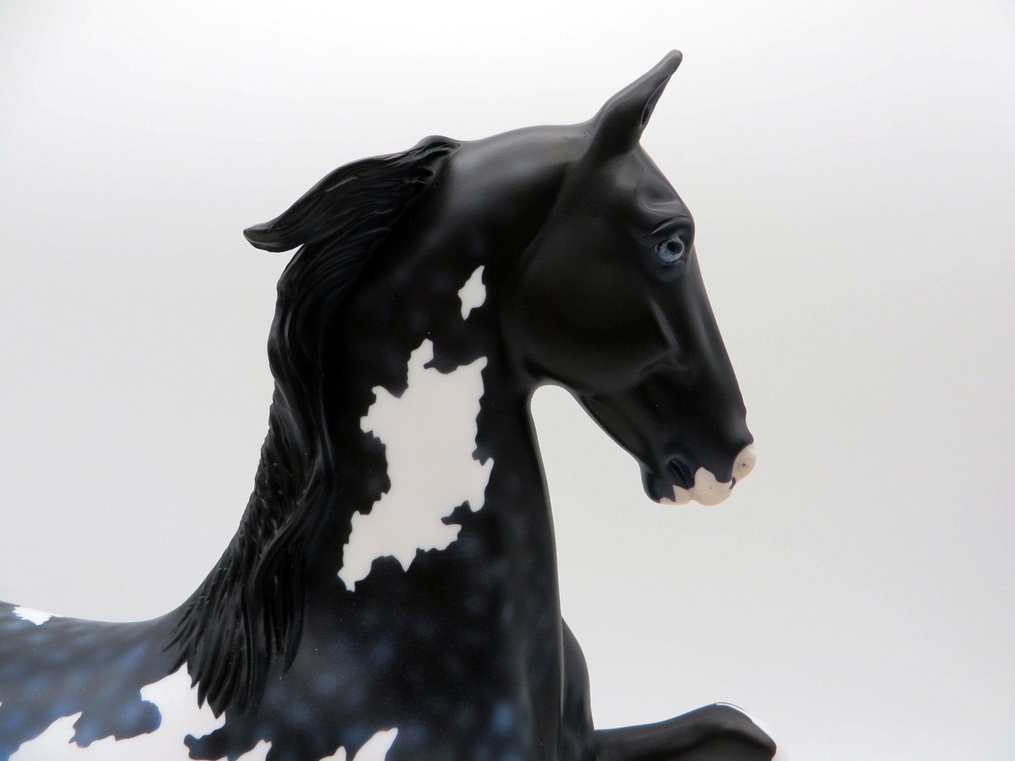 Stormy Seas-OOAK Dapple Black and Blue Paint Saddlebred SHCF 2021