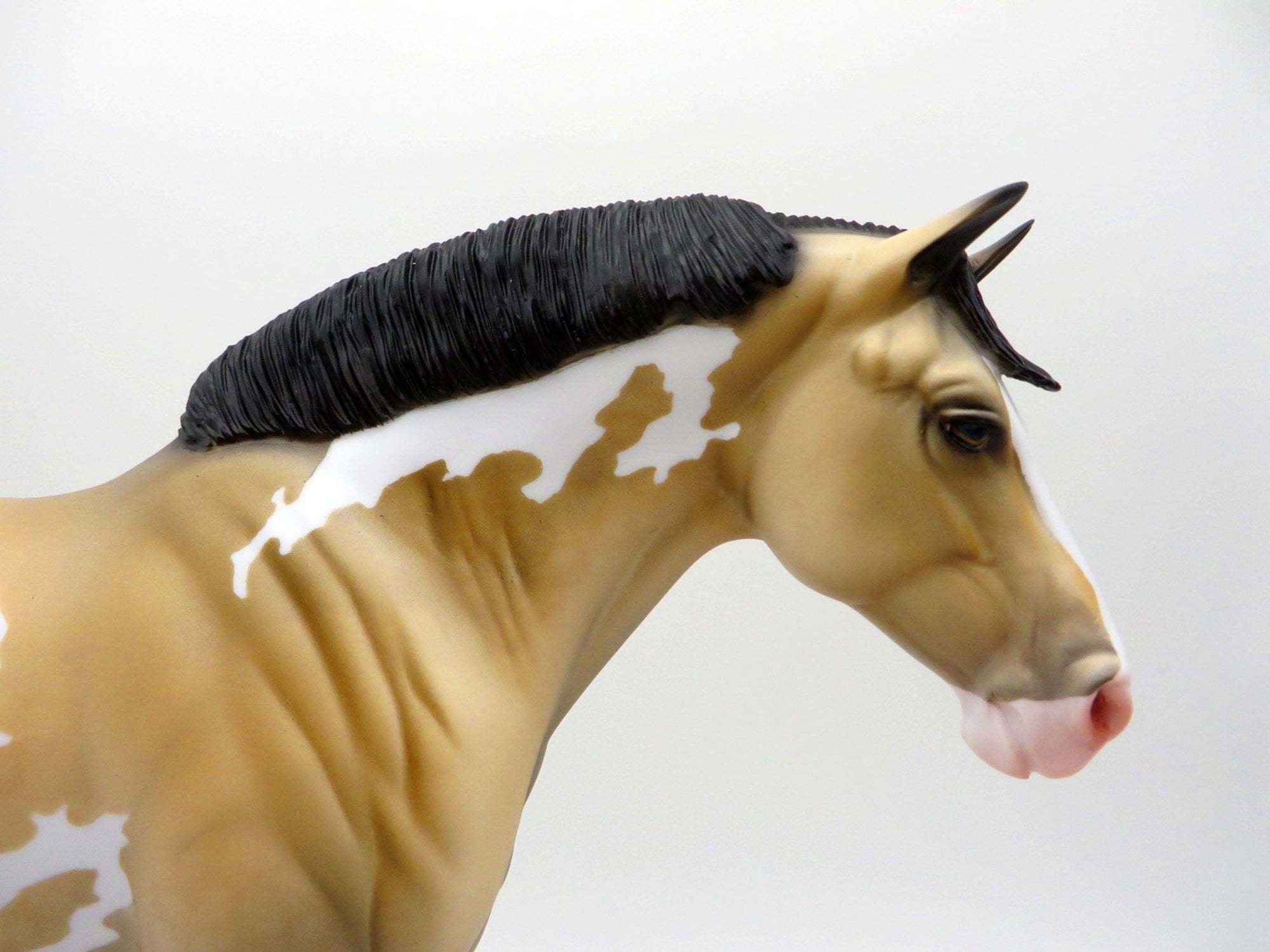 Stormy-OOAK Buckskin Paint Heavy Draft Mare SHCF 2021