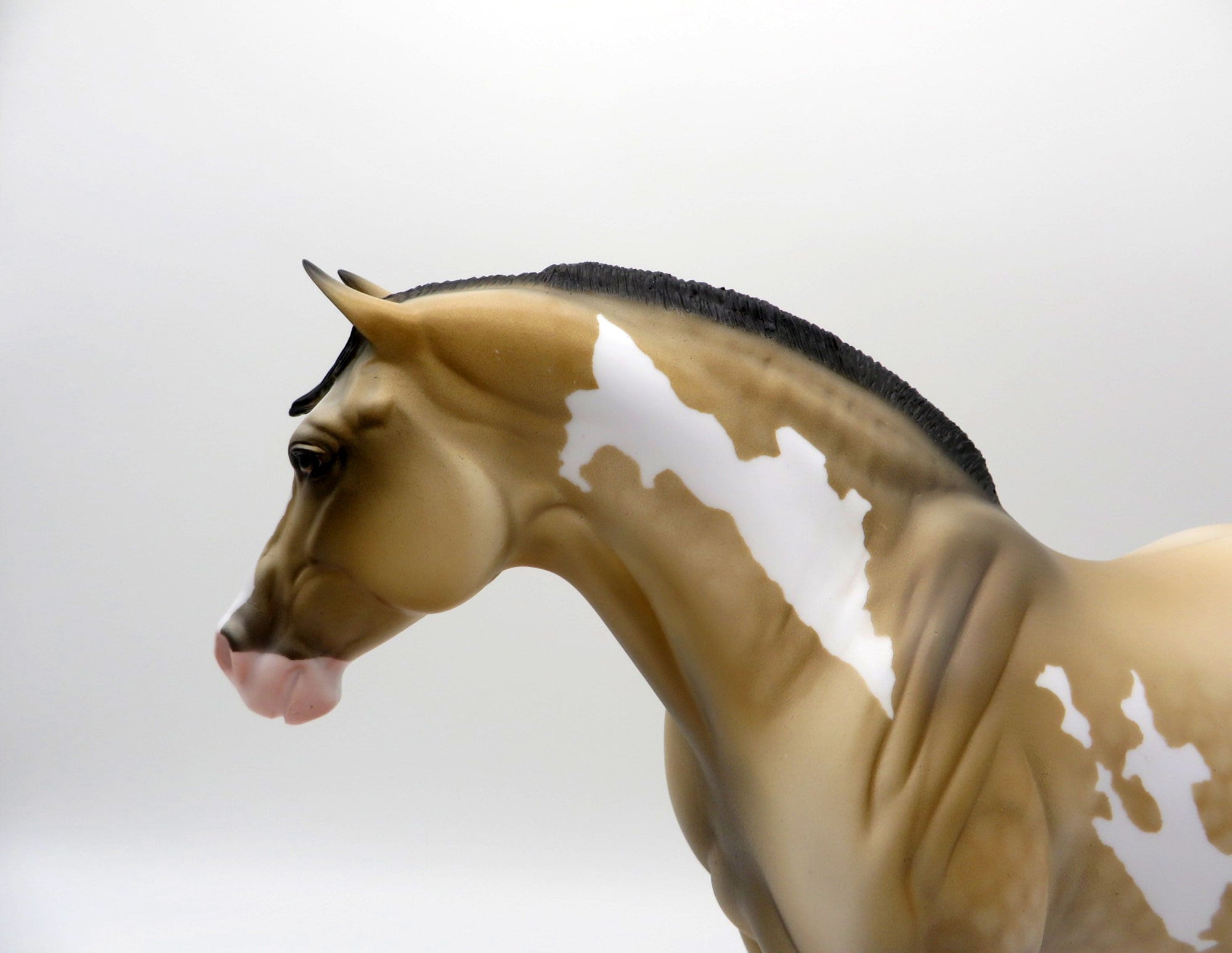 Stormy-OOAK Buckskin Paint Heavy Draft Mare SHCF 2021